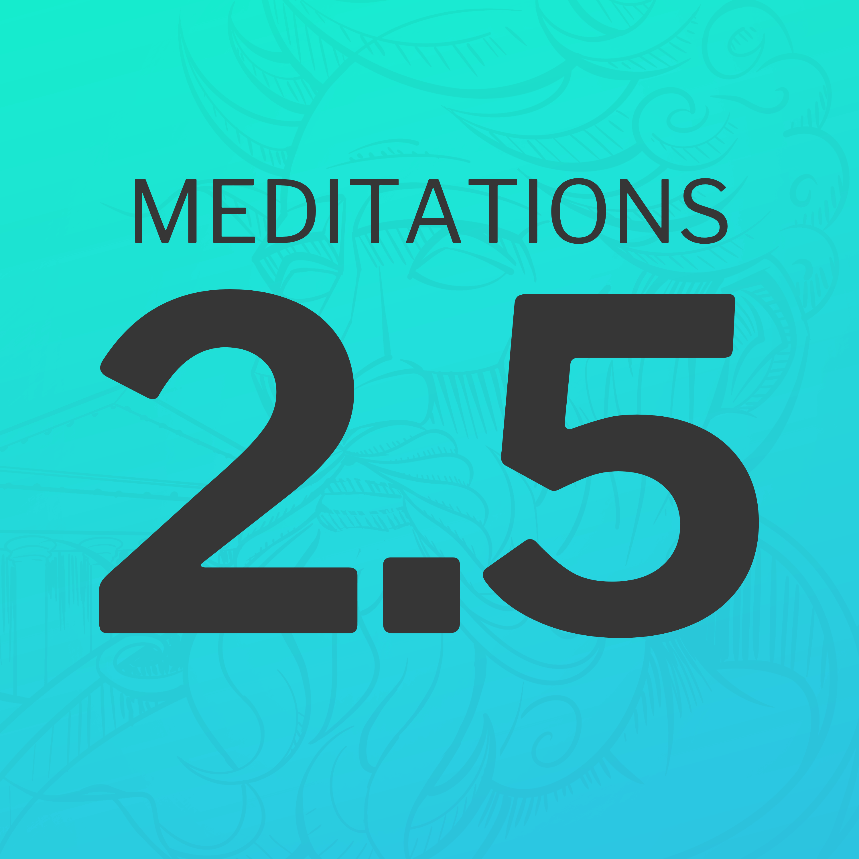 Act with precision, dignity, and love (Meditations 2.5)