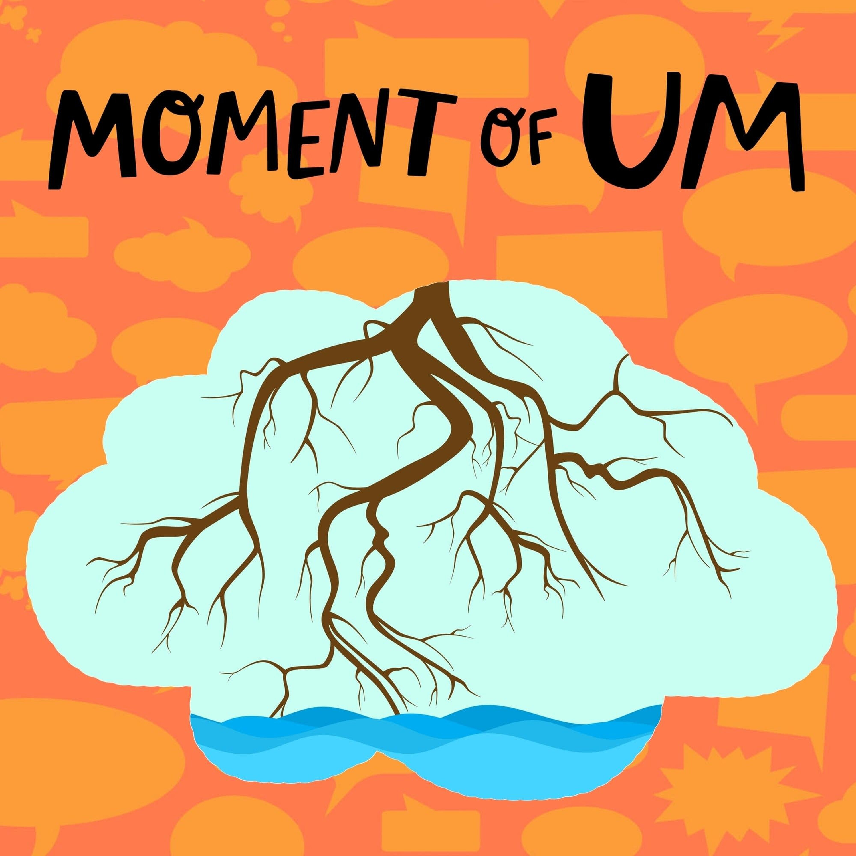 How do plant roots suck up water?