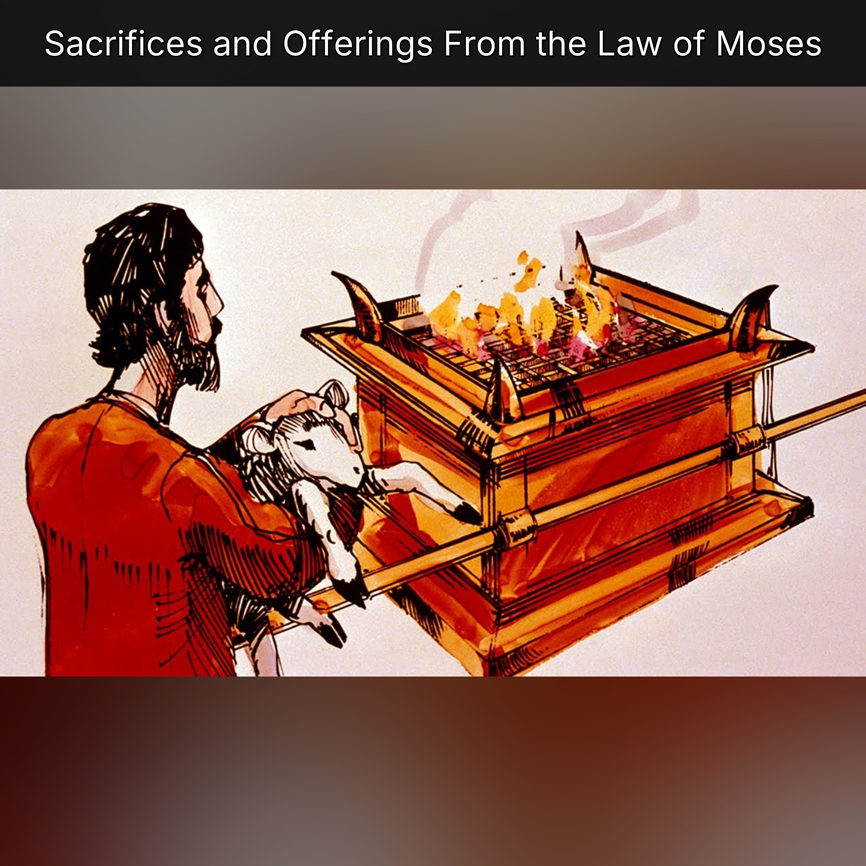 Sacrifices and Offerings From the Law of Moses episode artwork