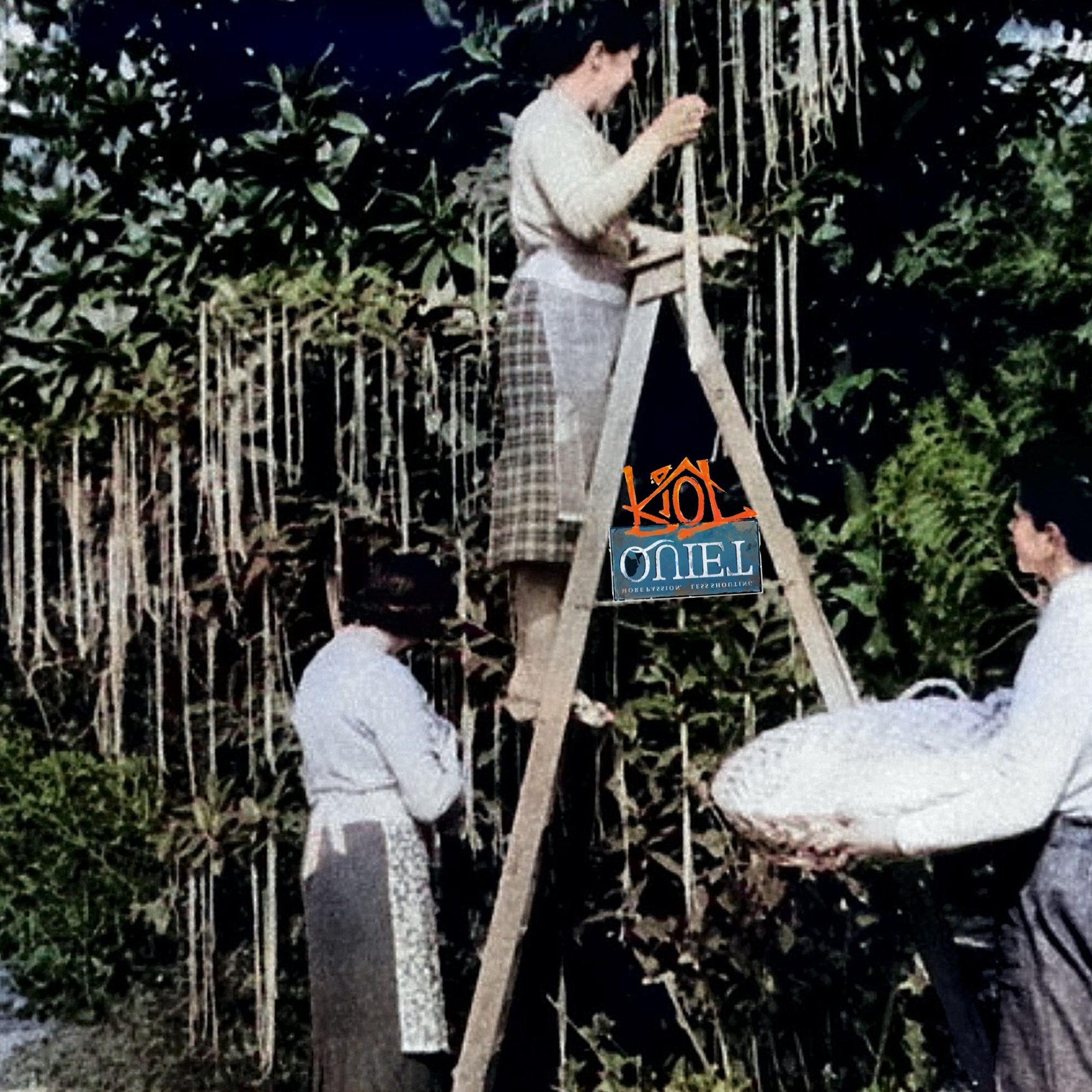 Sunday School: CTRL-ALT-DECEIT  Truth in the Age of Disinformation