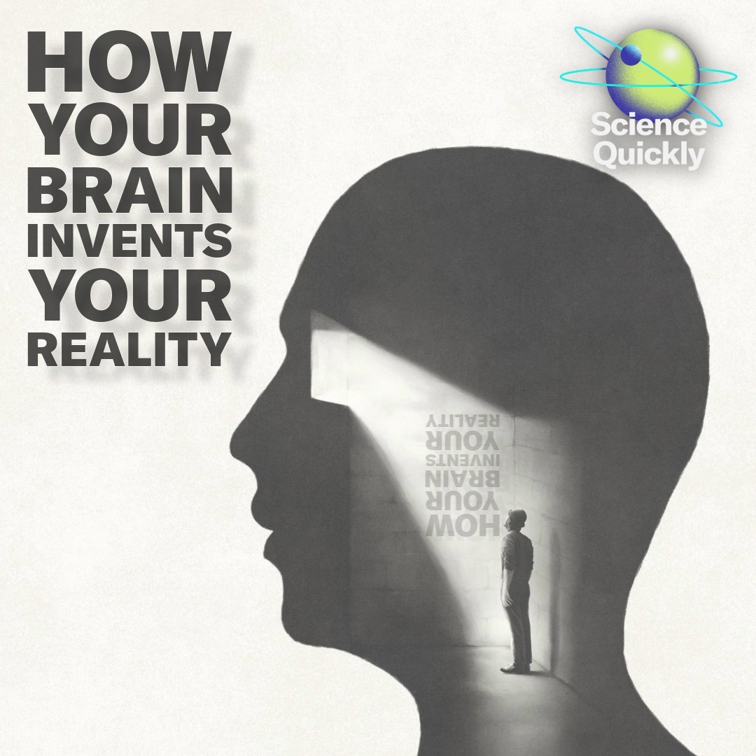 Unpacking the Brain’s Role in Inventing Your Perception