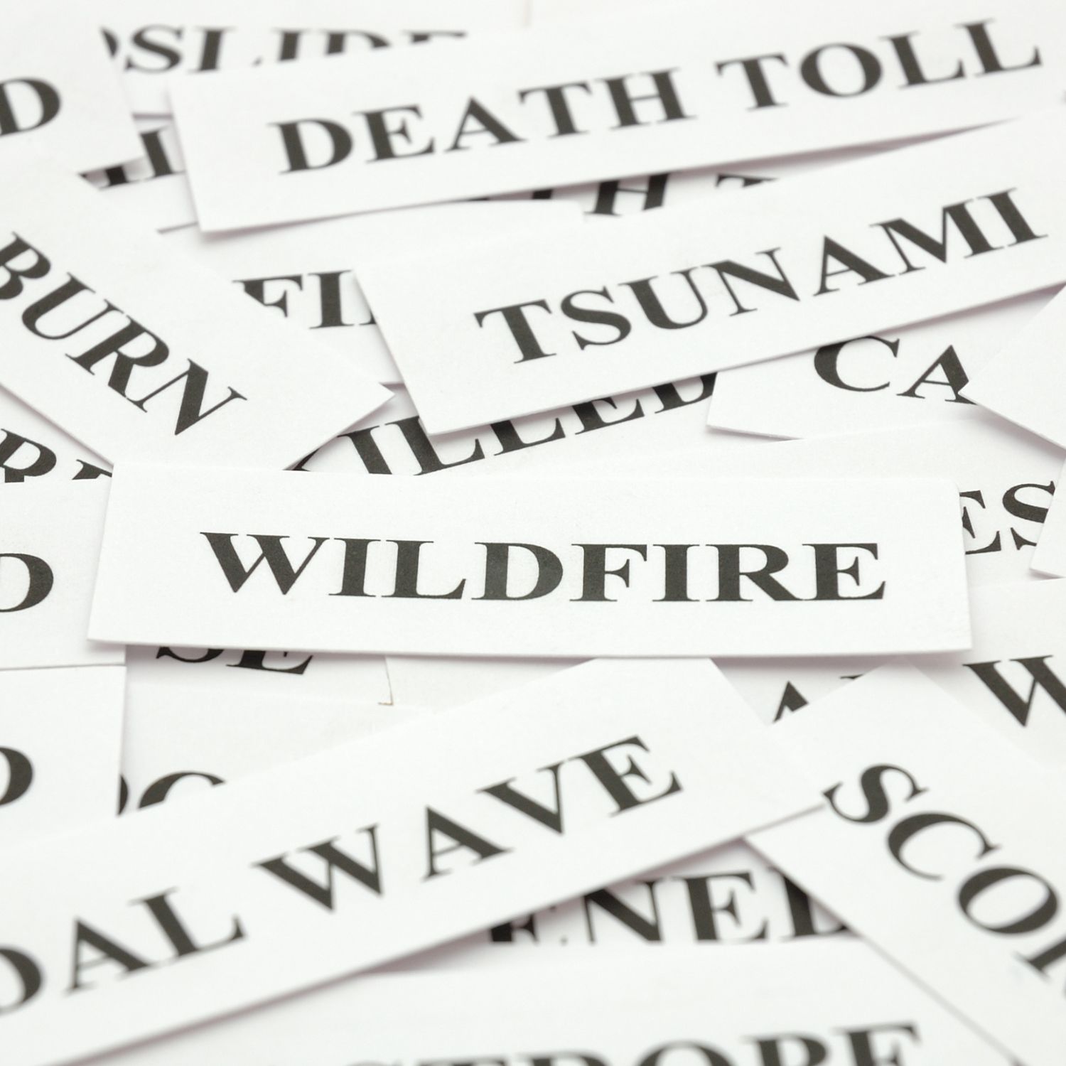 Wildfire Wake-Up Call: How To Protect Your Home and Finances If Disaster Strikes