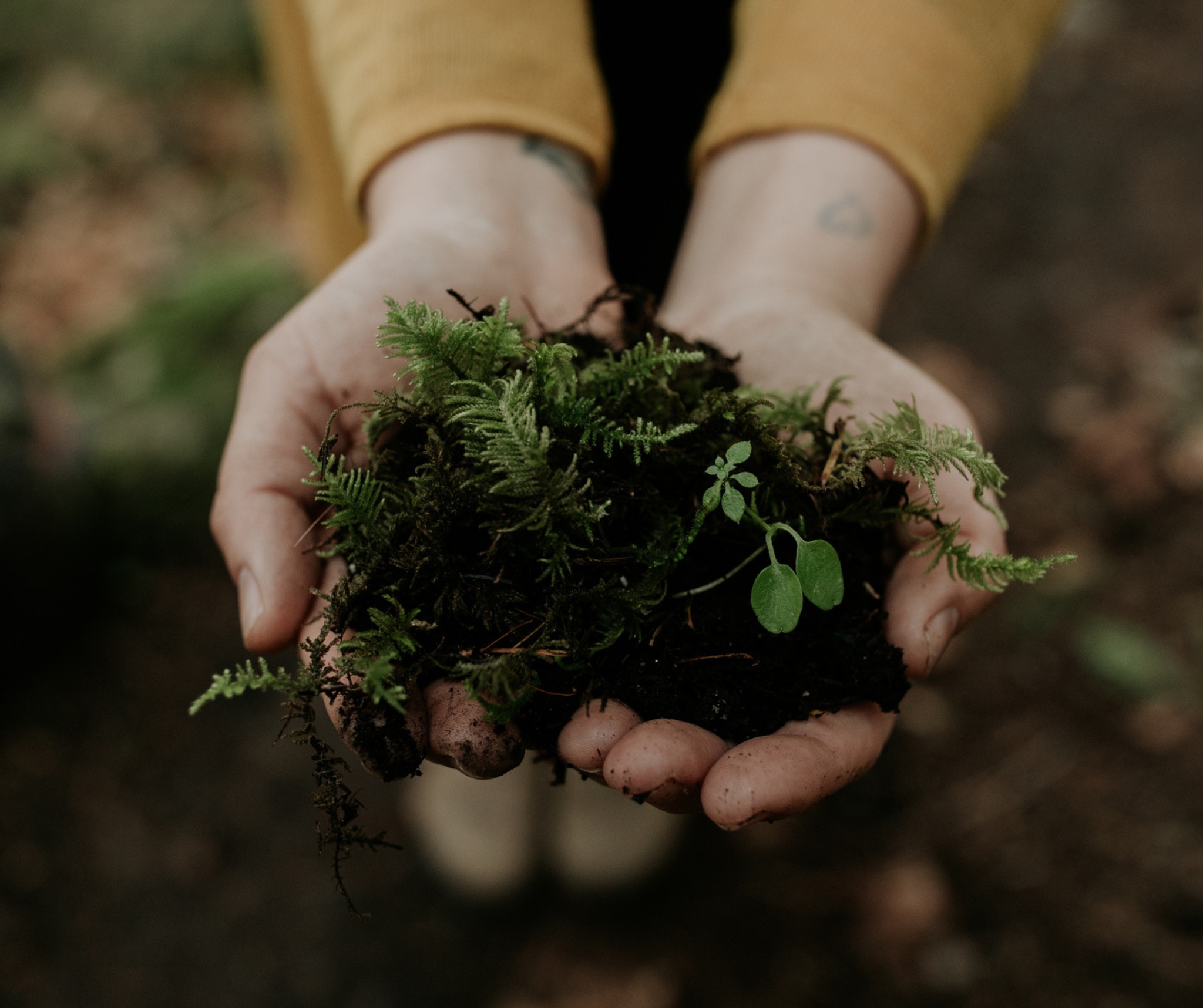 Human Composting Draws Concerns in Central Valley