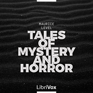 Tales of Mystery and Horror- Level: A Mistake
