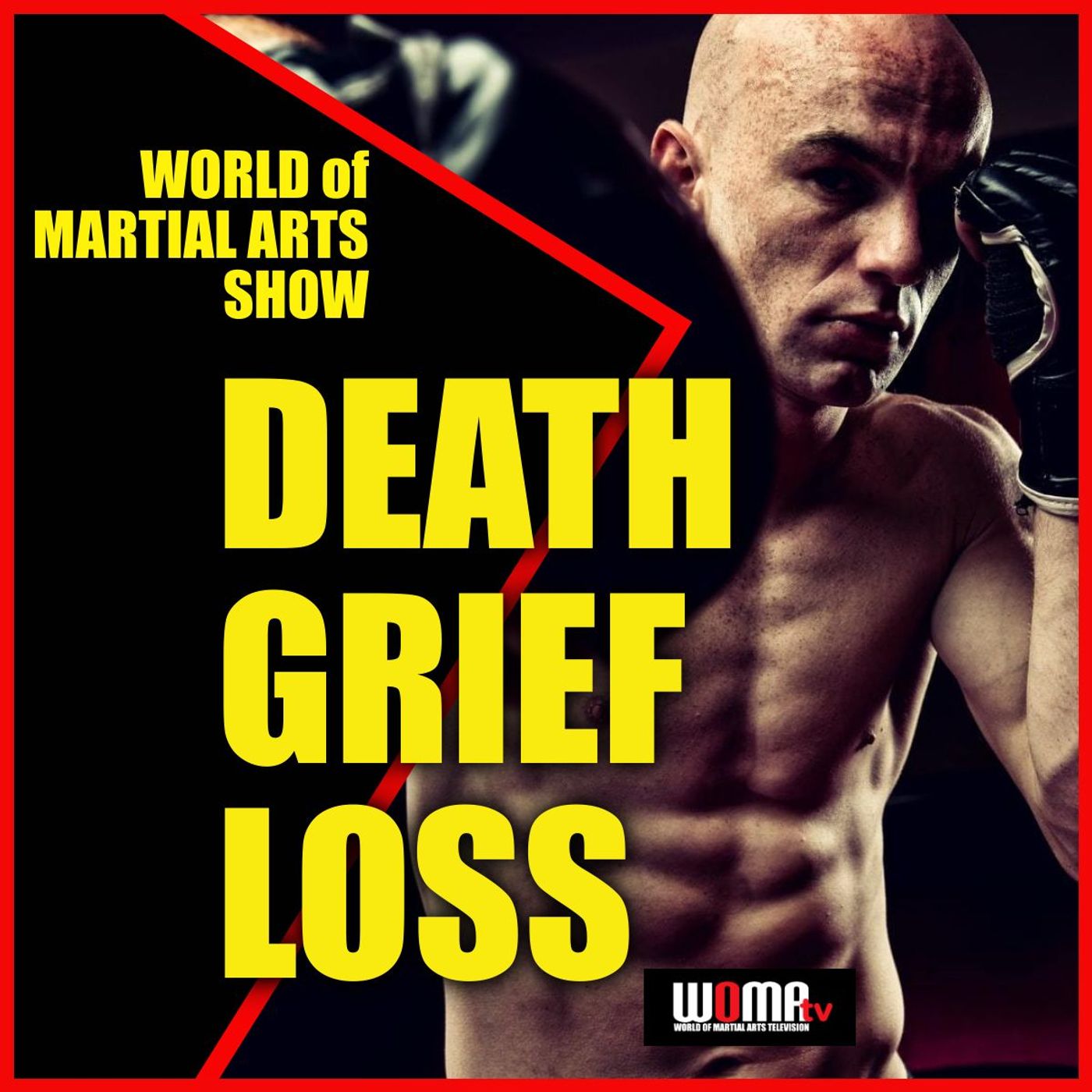 World of Martial Arts Show