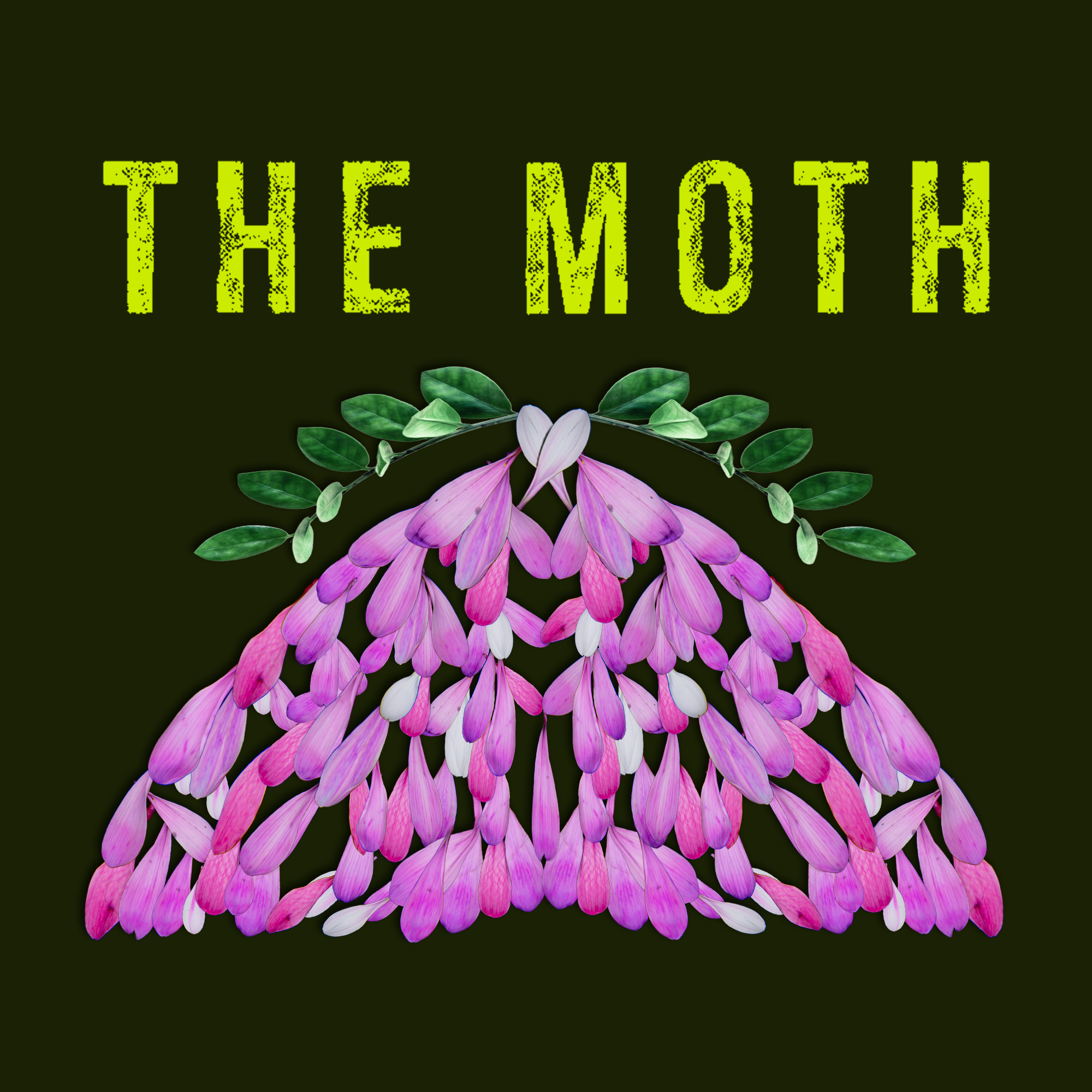 Mothers and Memories with Padma Lakshmi: The Moth Podcast