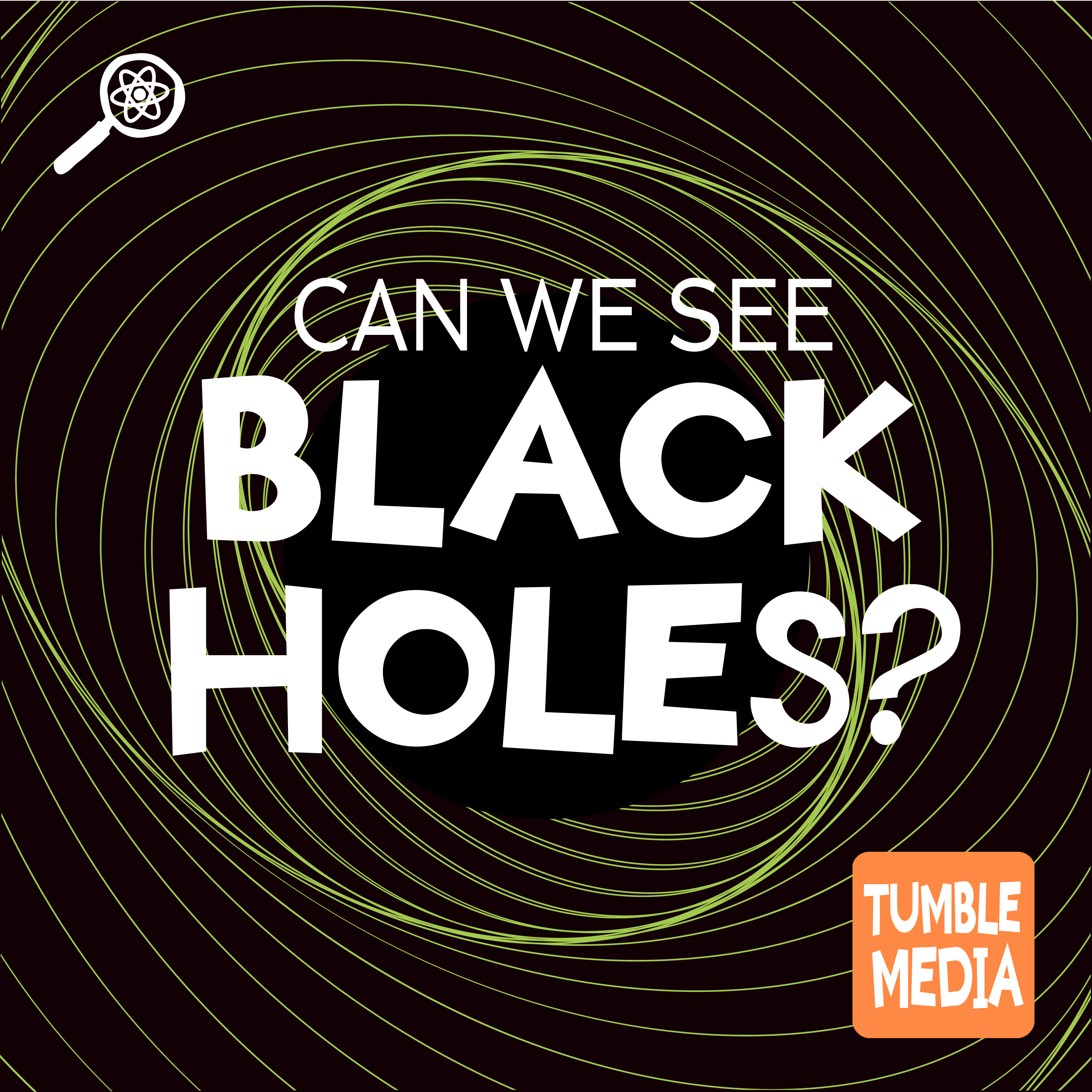Can We See Black Holes?