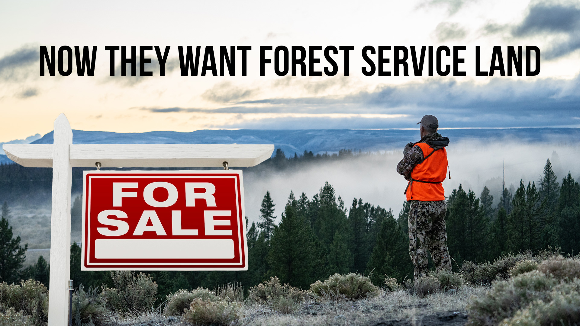 1/2 Million Acres to Be Sold? | Week of March 31