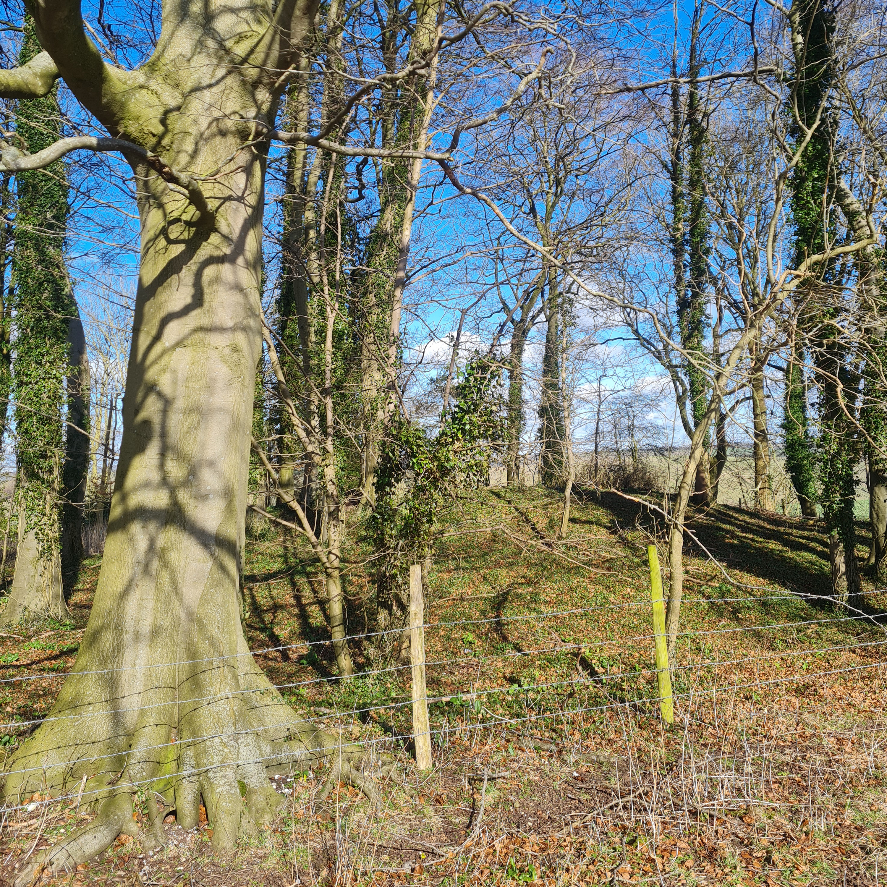Sound Escape 213. The atmosphere of the Giant's Grave, an ancient burial mound in Wiltshire