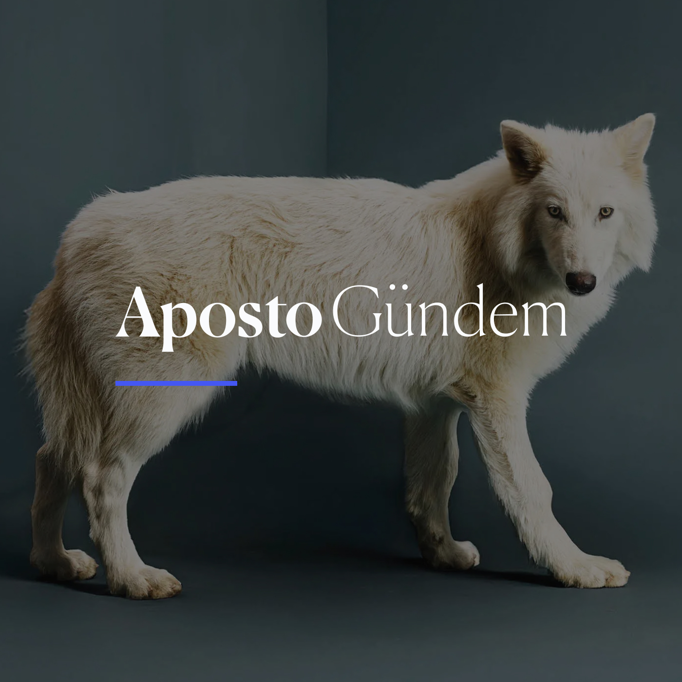 Tazminat davası, siyasi yasak talebi | 9 Nisan 2025