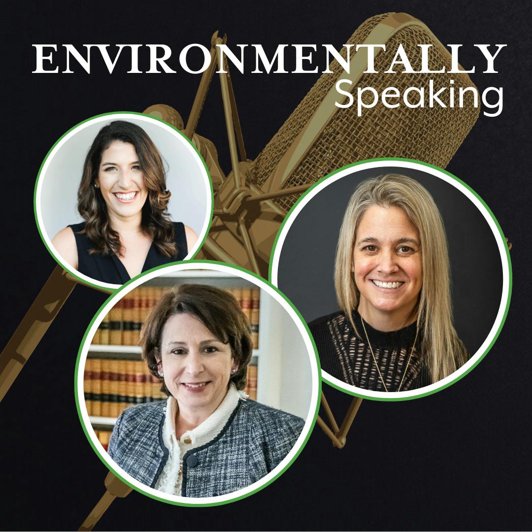 EP: 118- The Use of Art in Residential and Commercial Development EP: 118- The Use of Art in Residential and Commercial Development