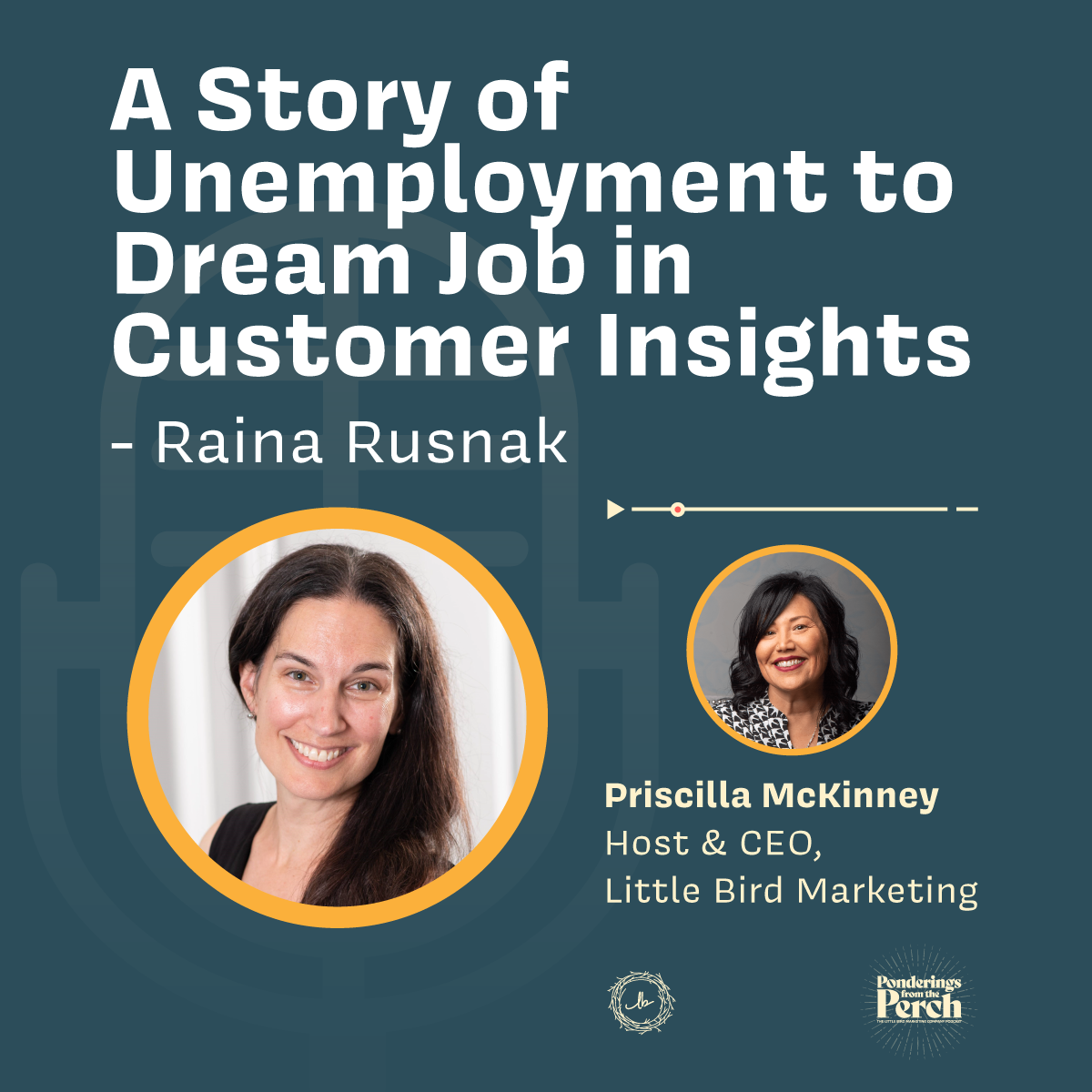 A Story of Unemployment to Dream Job in Customer Insights episode artwork