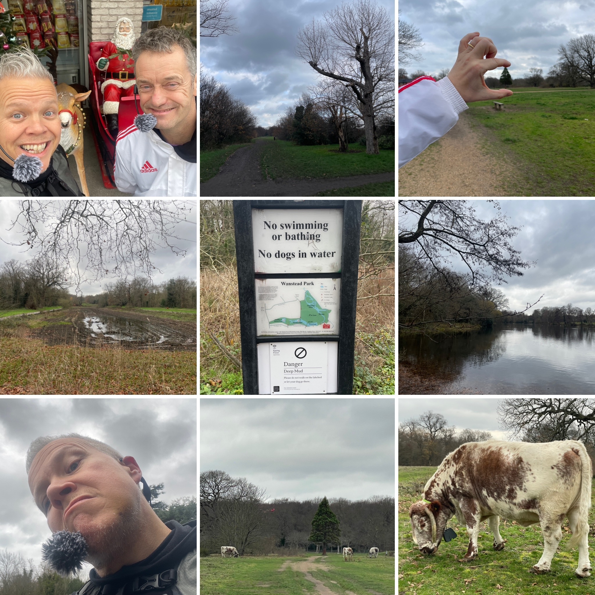 Is It A Bird? Is It A Plane? No, It's A Cow