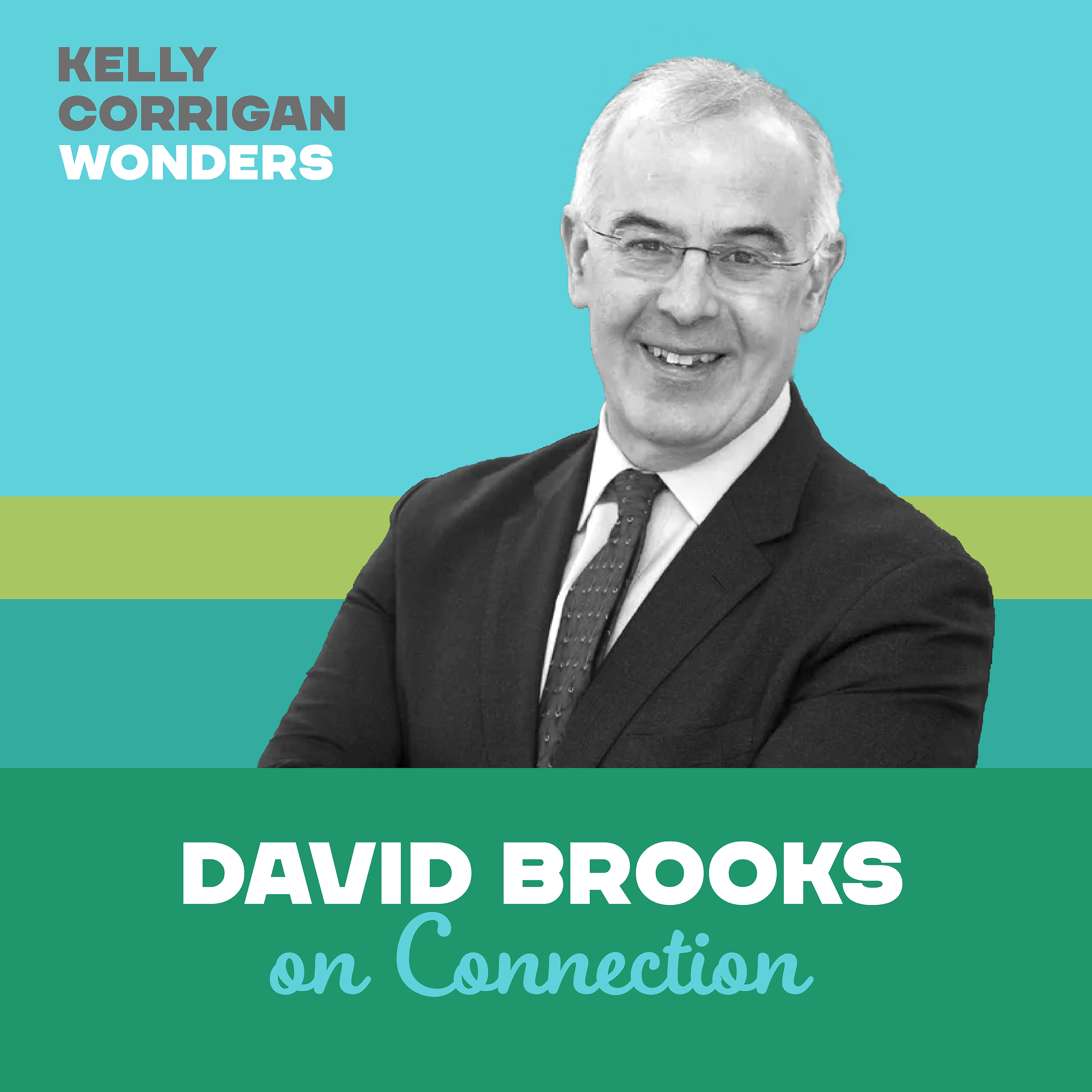 Thumbnail for "Deep Dive with David Brooks on Connection".