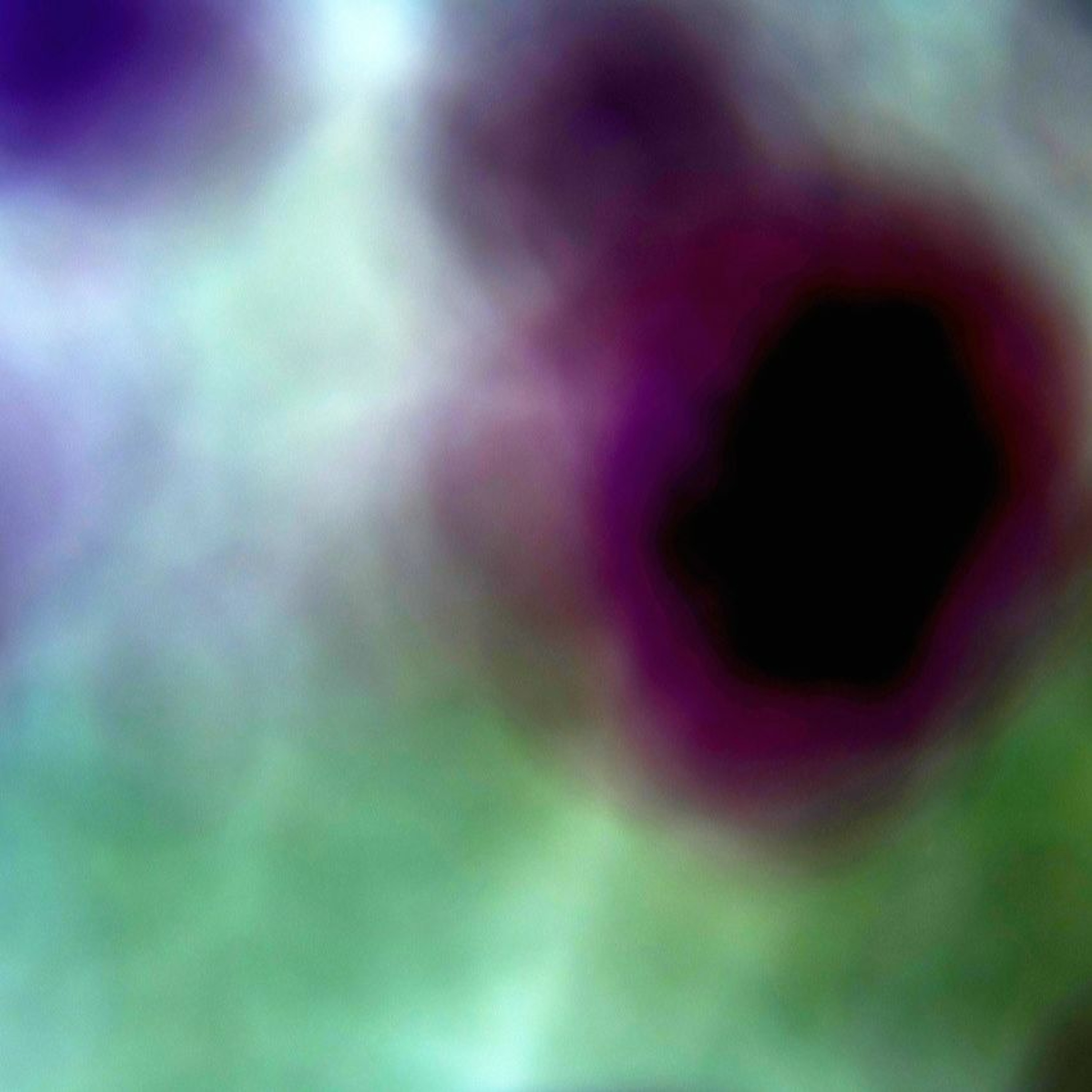 Entrevistas Especulativas