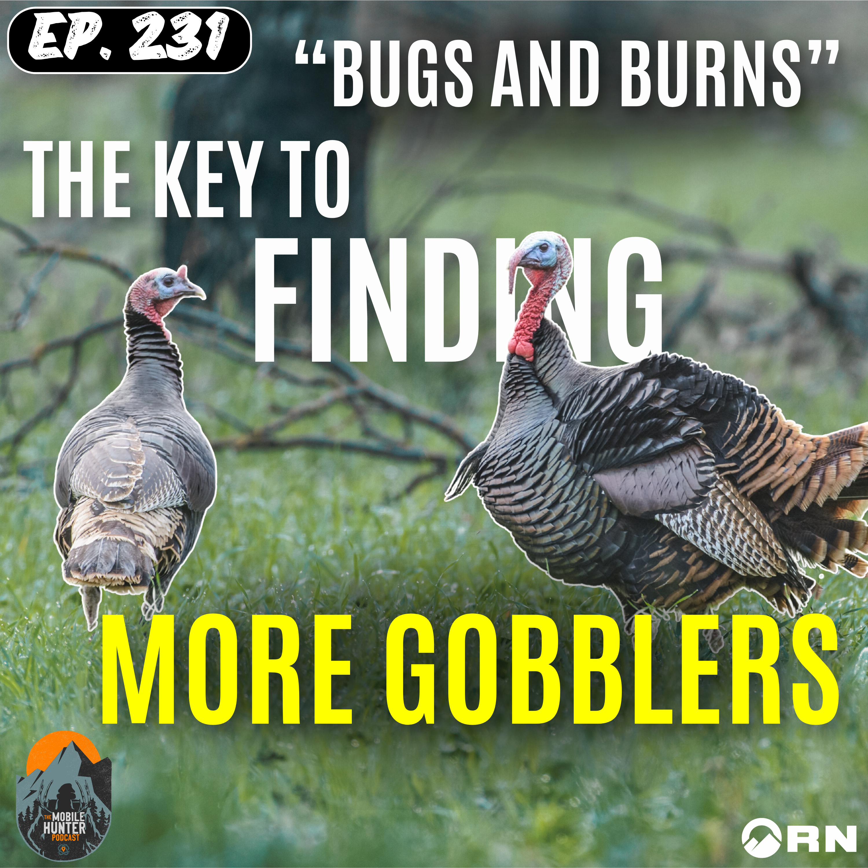 Bugs and Burns: The Key to Finding More Gobblers episode artwork