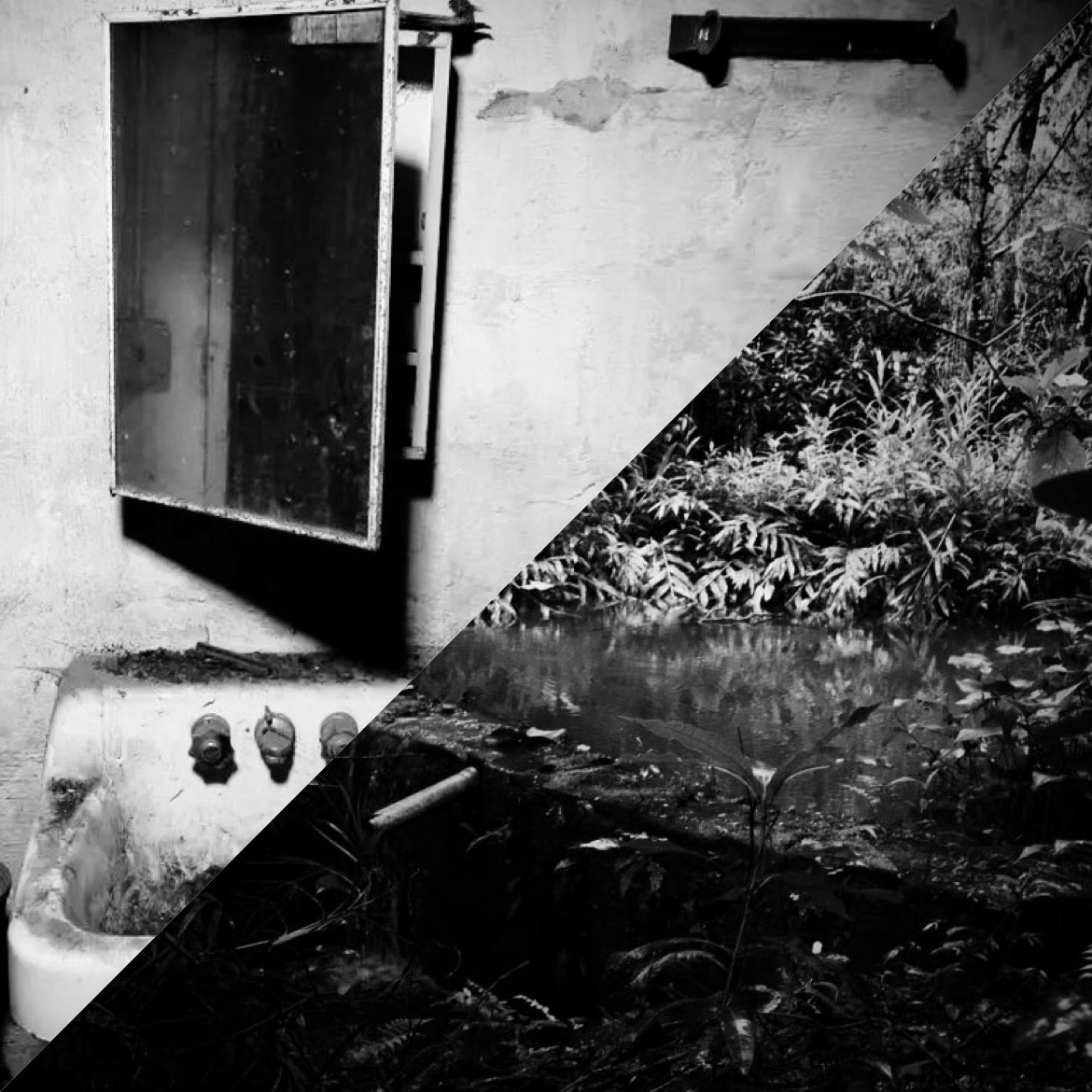 #60 - Paranoia und Parasit