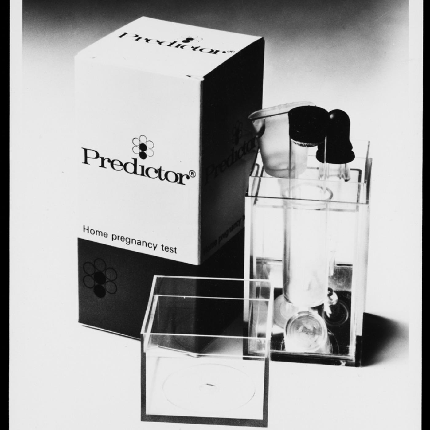 Creating The At-Home Pregnancy Test