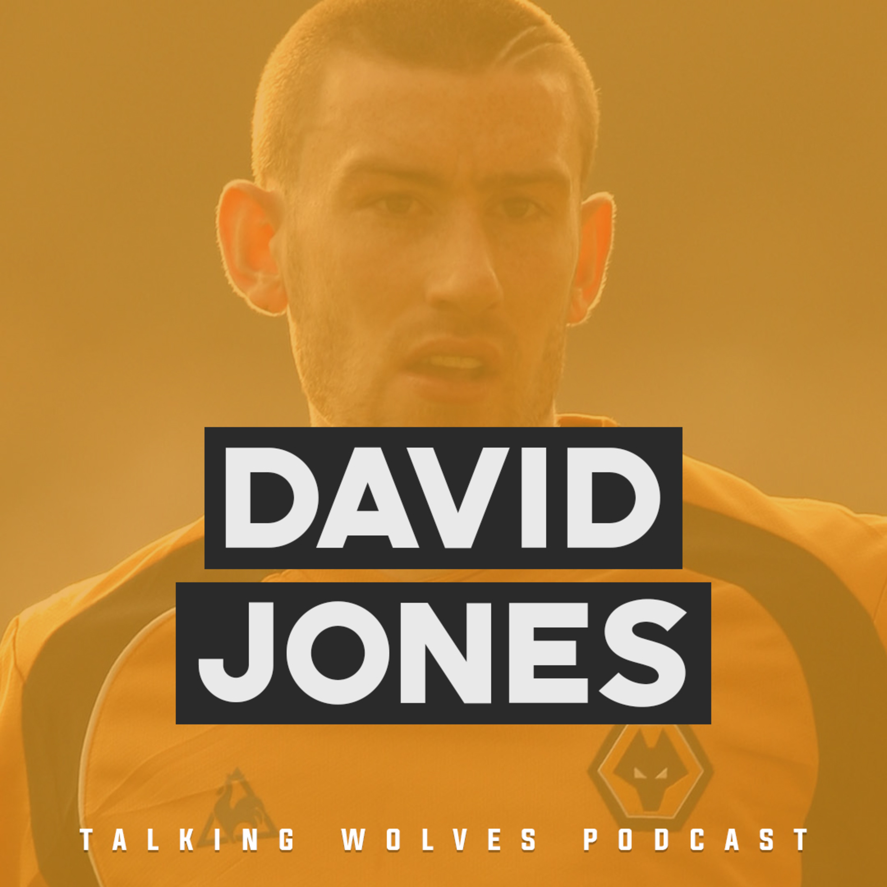 David Jones: Starting His Career At Manchester United, His Time At Wolves & Life After Football
