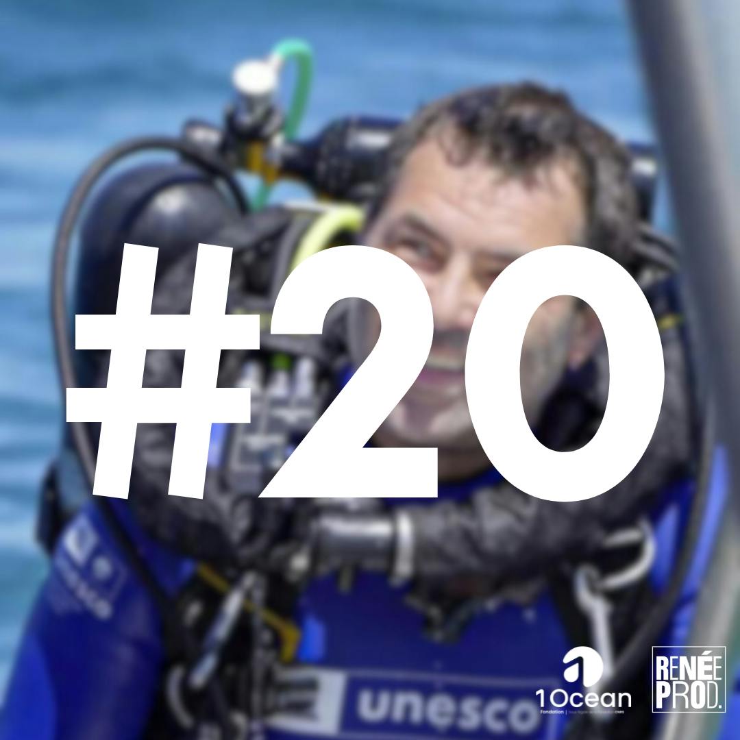 Plongeon dans la photographie sous-marine Plongeon dans la photographie sous-marine