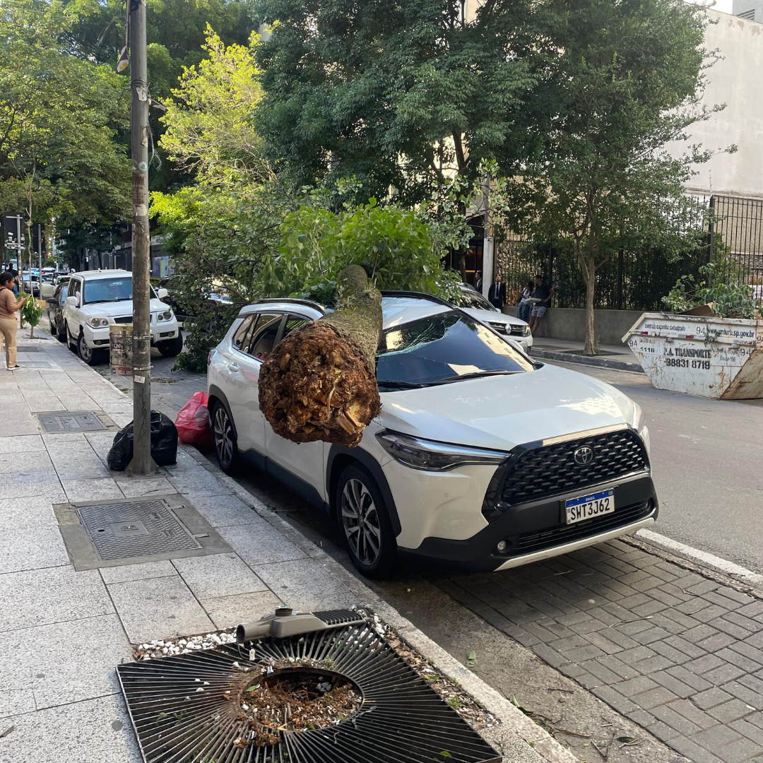 1,4 milhão de imóveis seguem sem energia em São Paulo após ventania