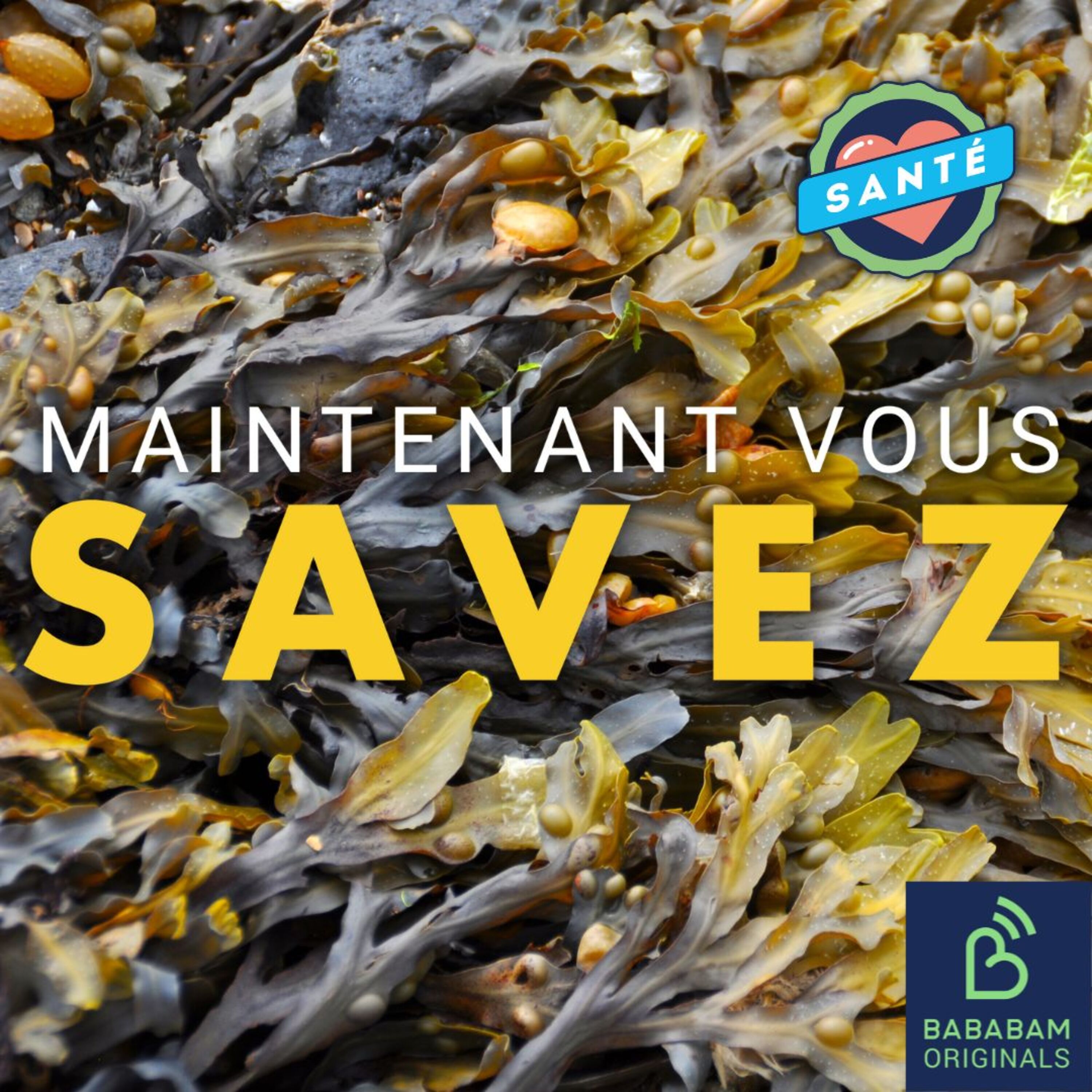 Les algues sont-elles vraiment bonnes pour la santé ?