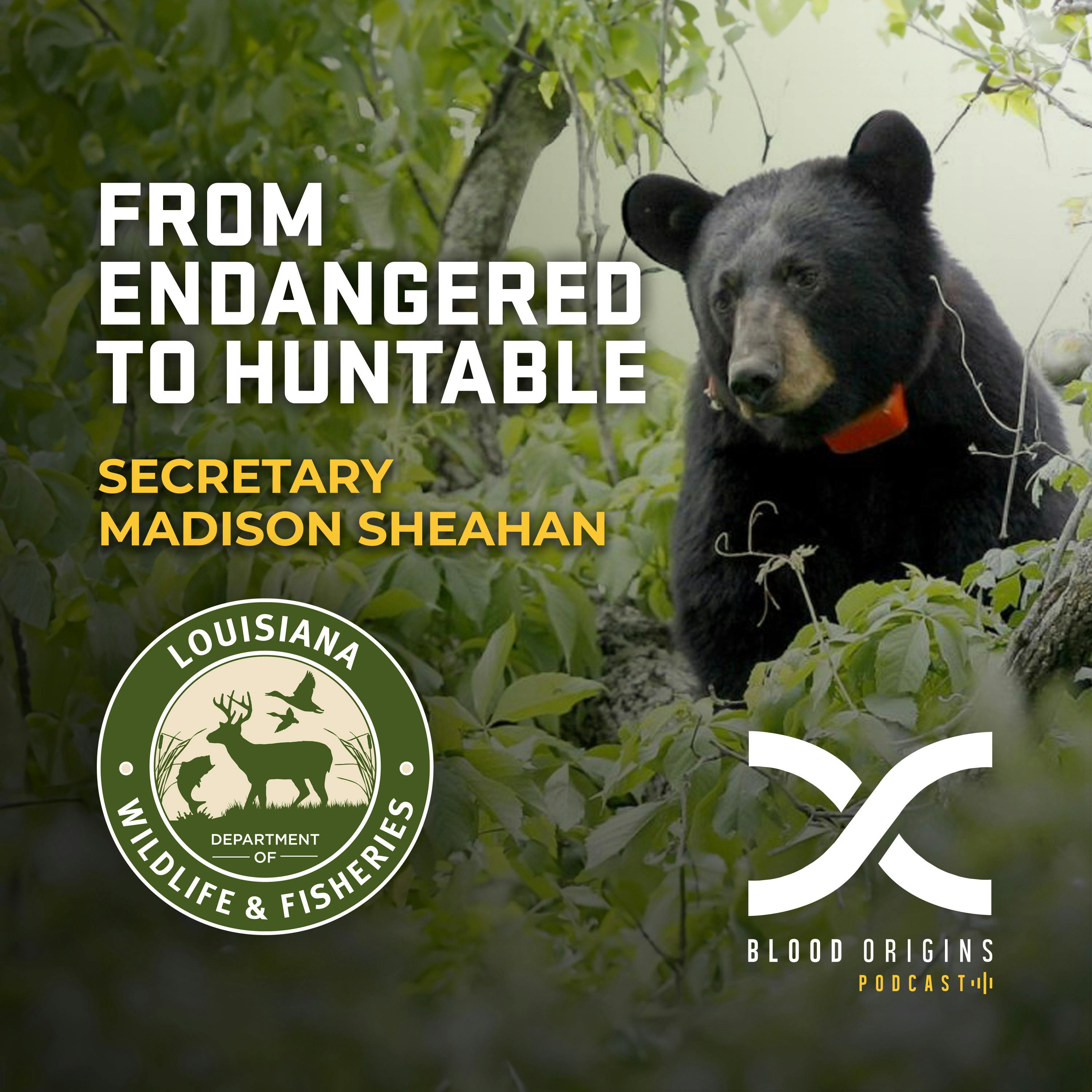 Episode 505 - Secretary Madison Sheahan || Louisiana Black Bear: Endangered to Huntable Pt. 3