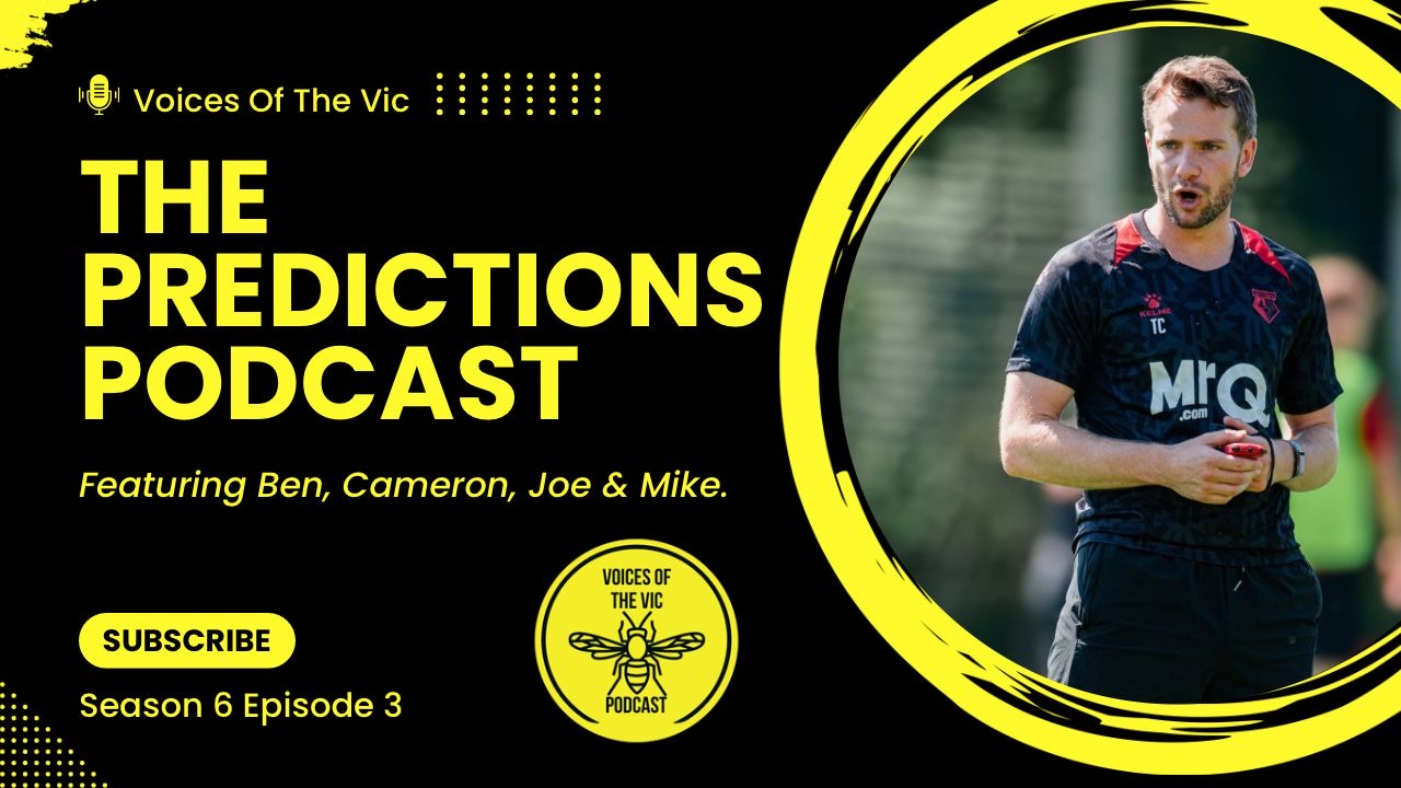 The Voices of The Vic