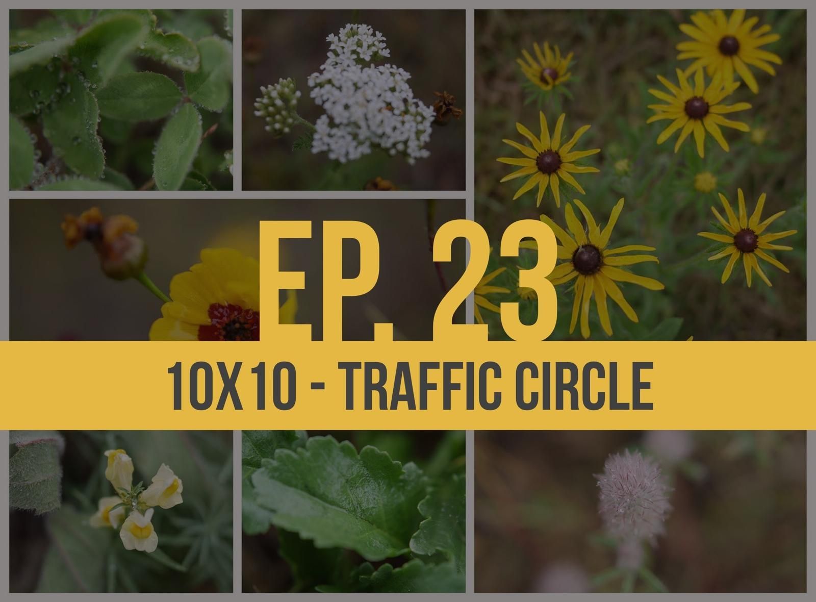 10x10 - Traffic Circle