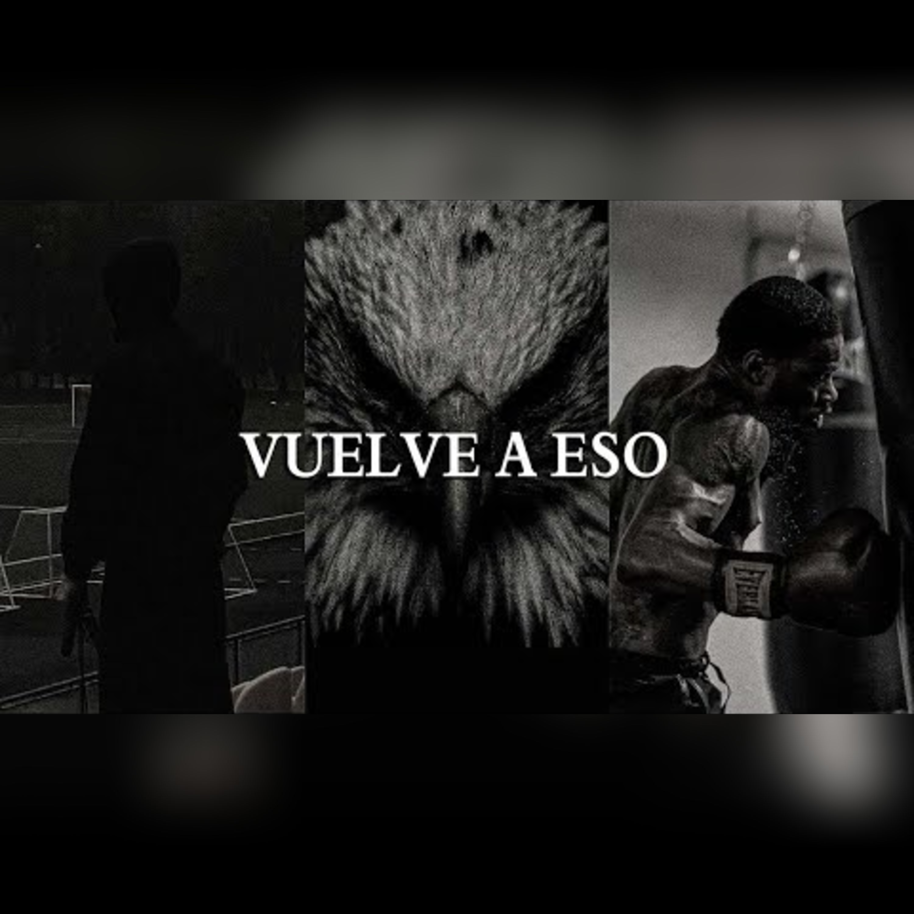 Motivación Absoluta