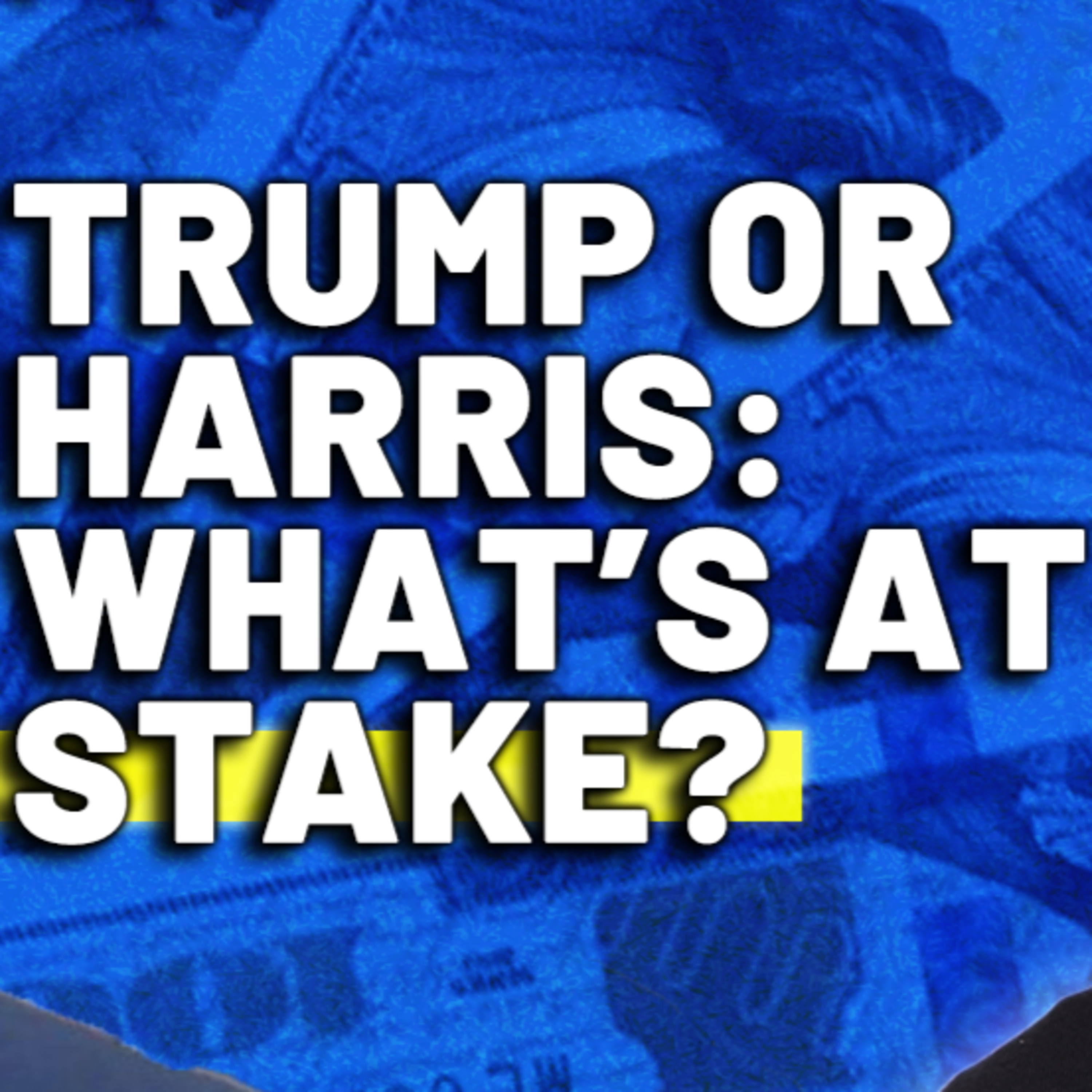 Election 2024: Trump Trades and Harris Hedges