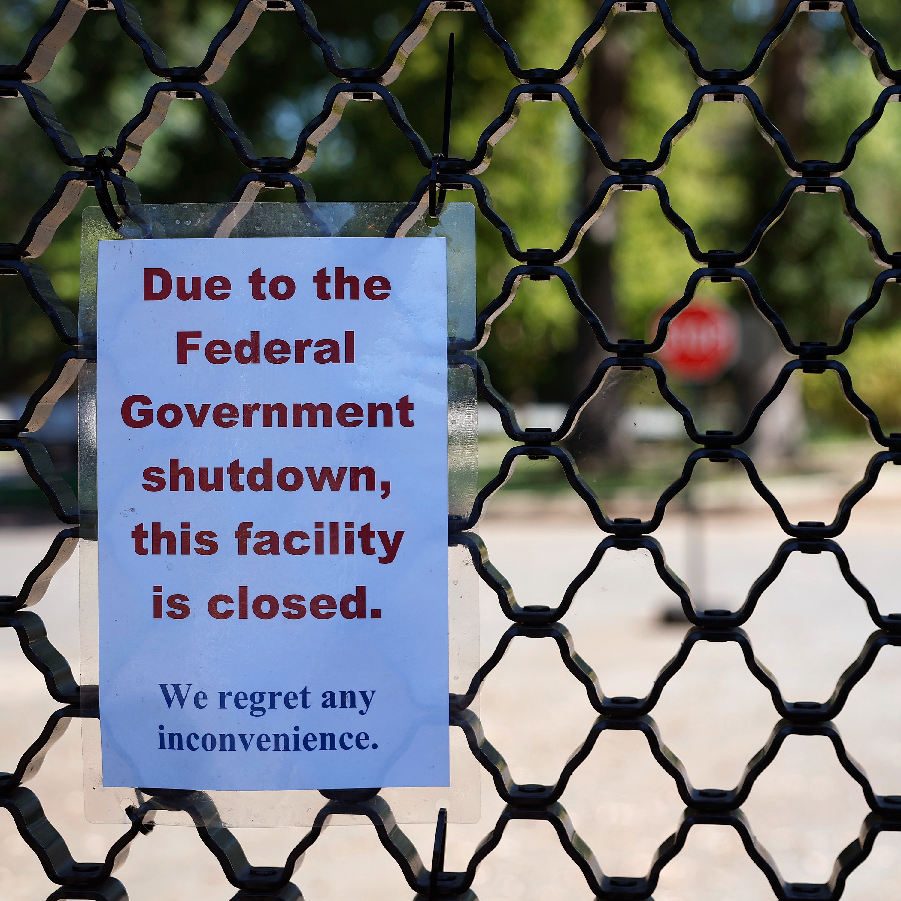 The U.S. Government Shutdown