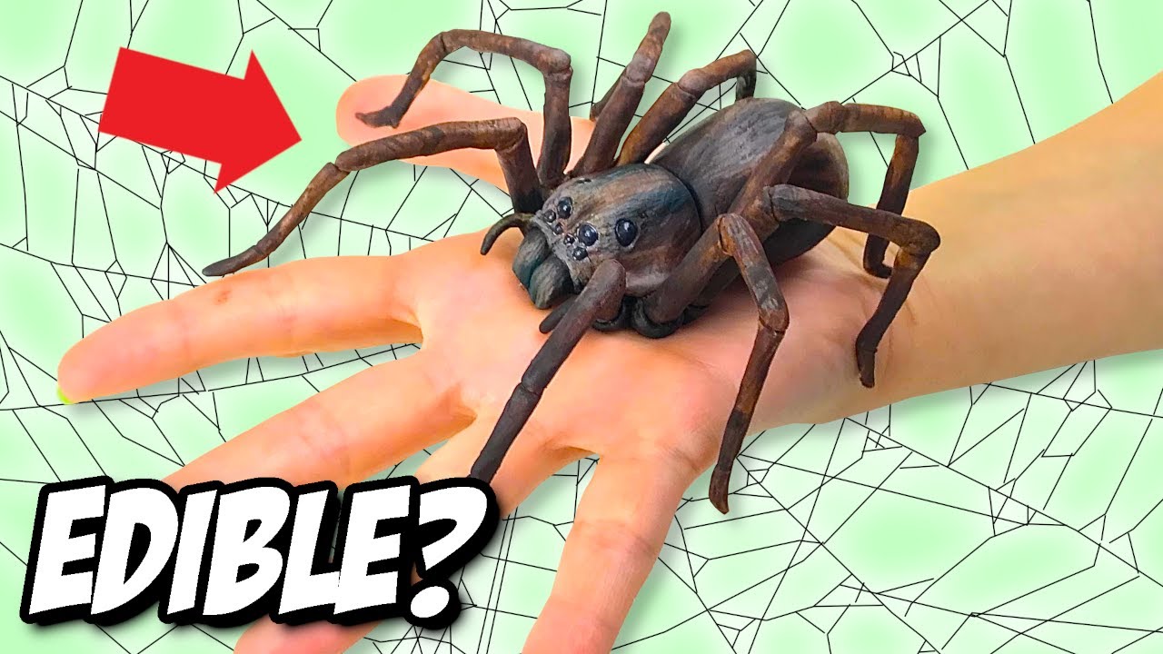This Spider is Actually a CAKE! 😱 episode artwork