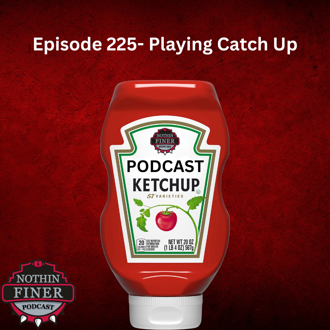 Episode 225- Playing Catch Up episode artwork