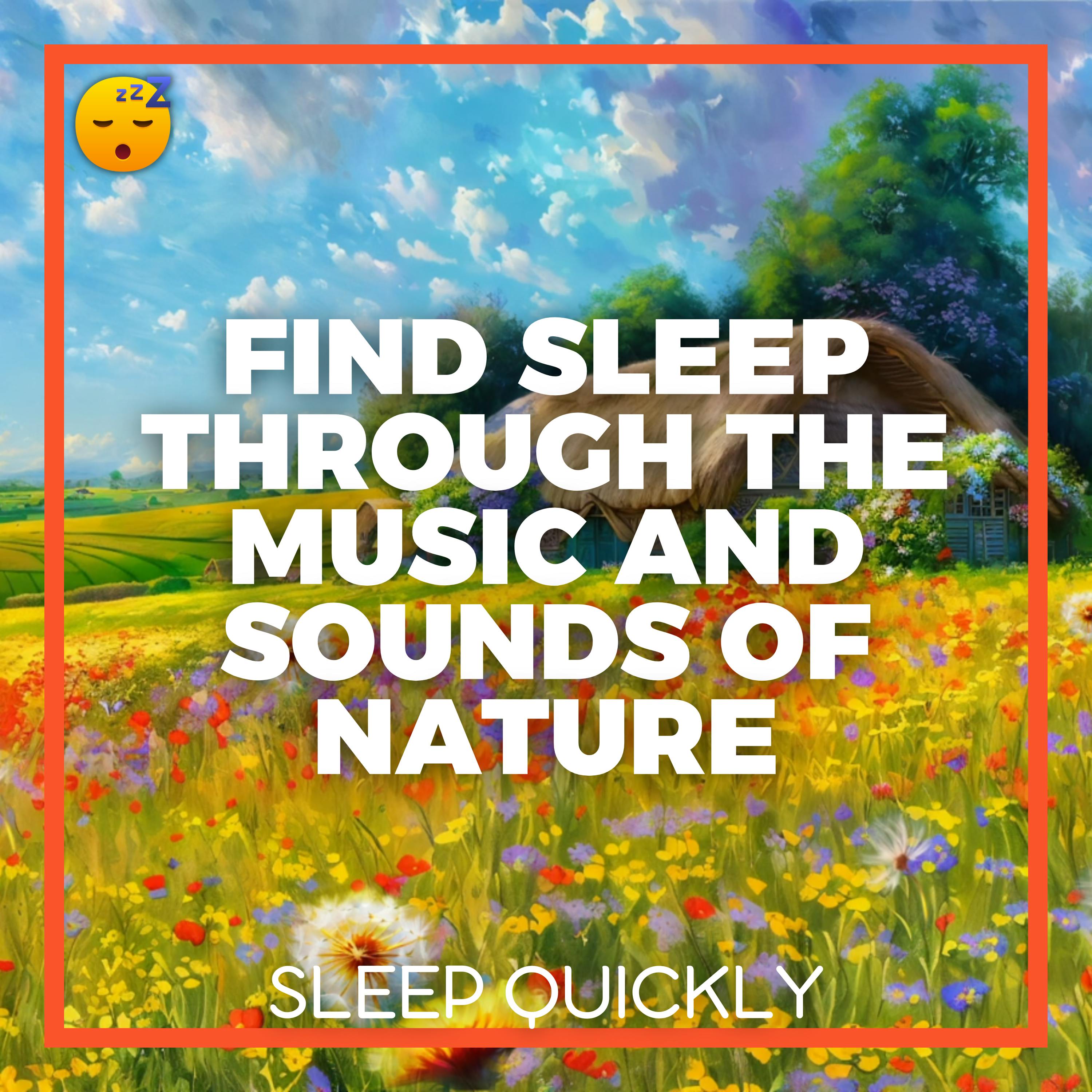 😴🍂🎵 Quickly find SLEEP with Soft MUSIC and the Sounds of NATURE episode artwork
