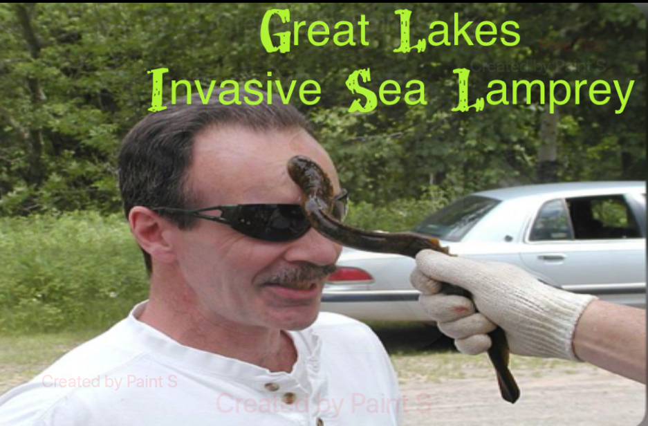 Fly Fishing Consultant Podcast