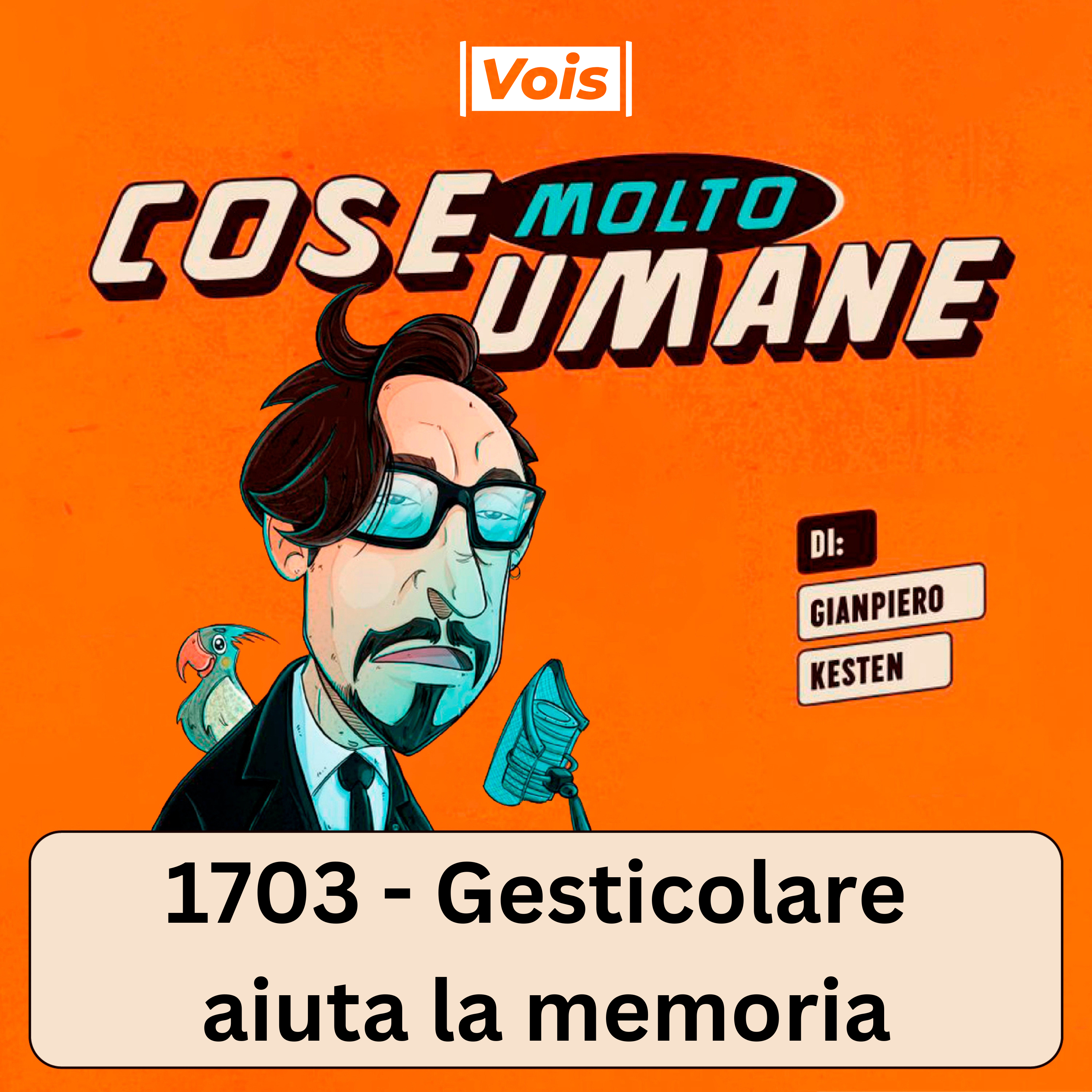 1703 - Gesticolare aiuta la memoria