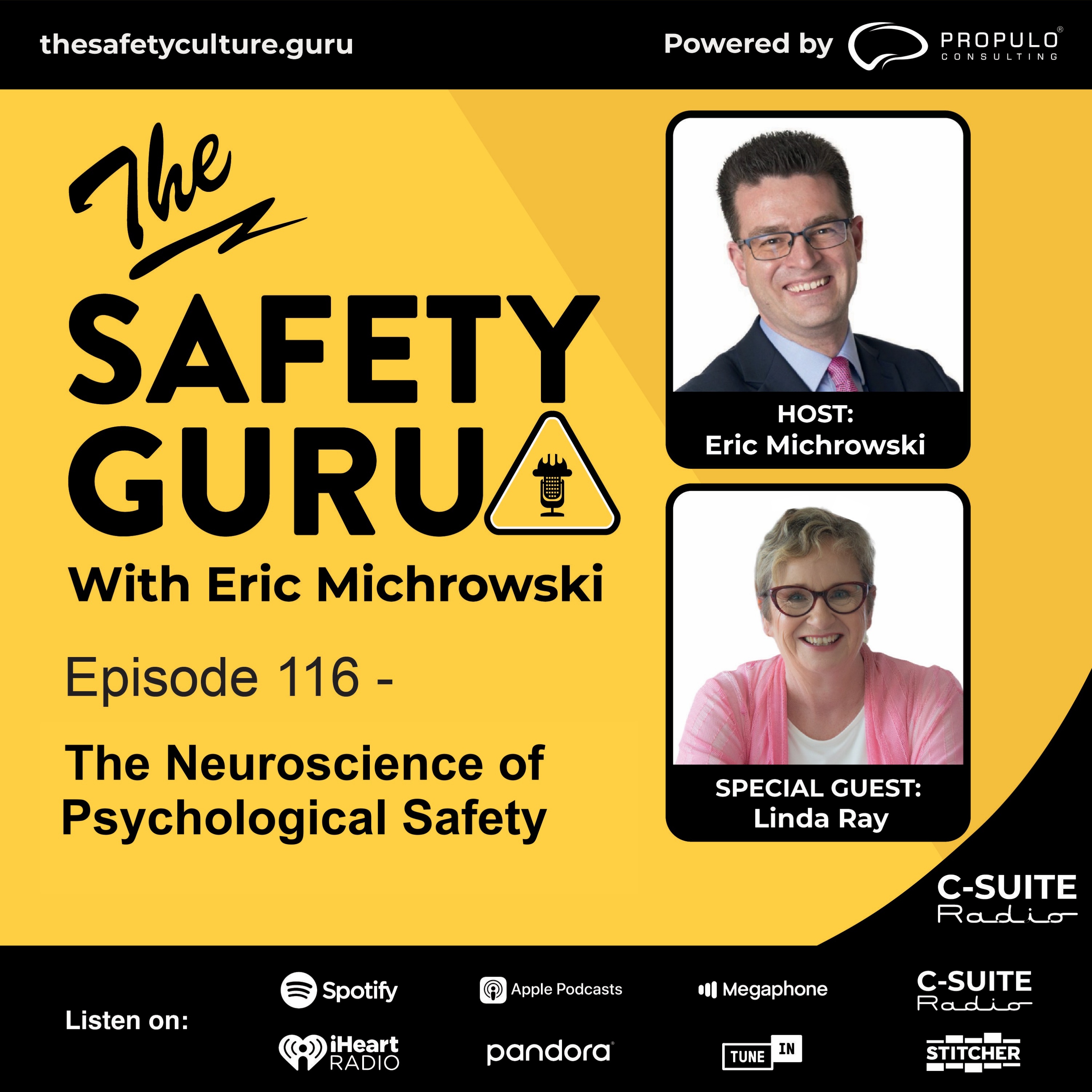 Episode 116 - The Neuroscience of Psychological Safety with Linda Ray episode artwork