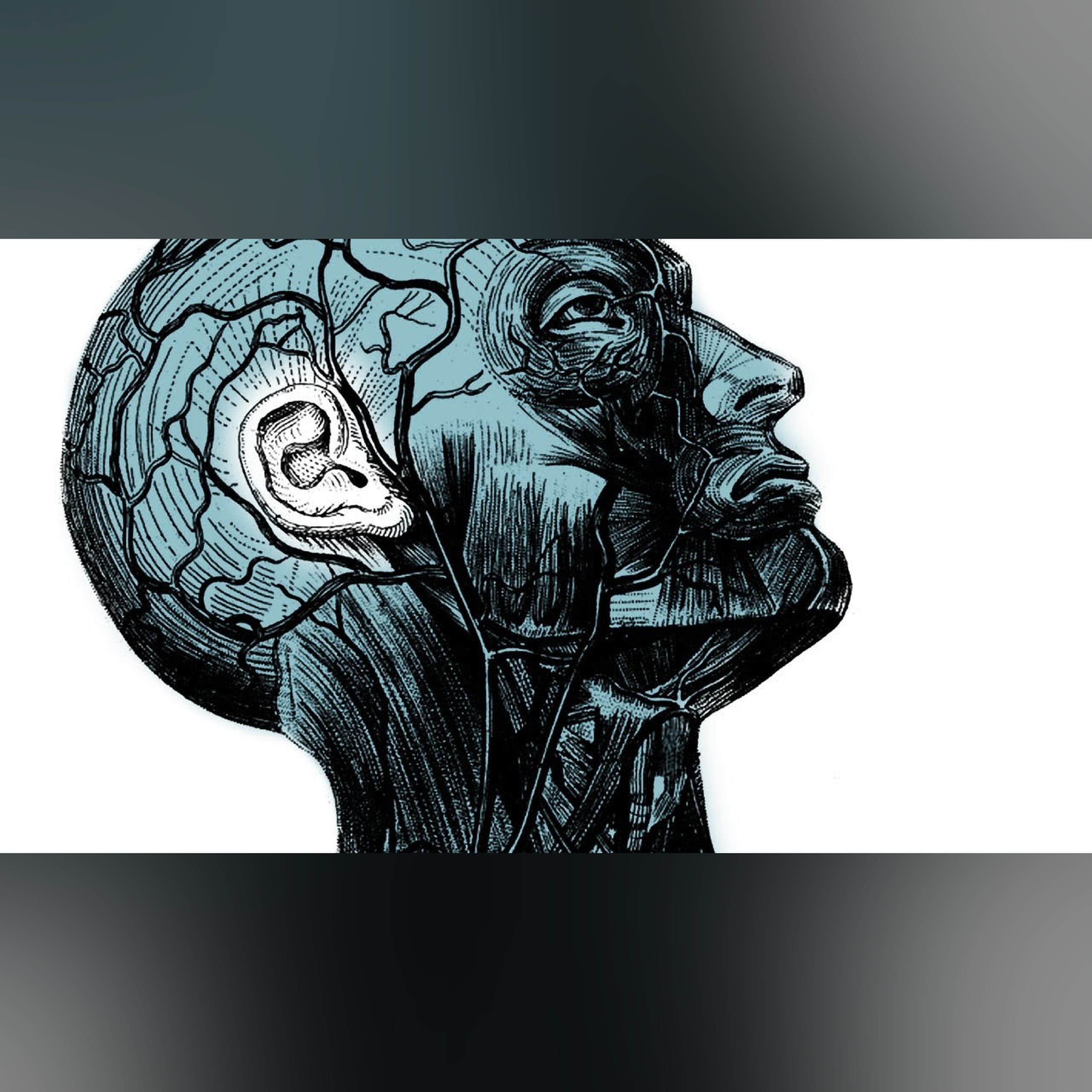 Your brain on improv - Charles Limb episode artwork