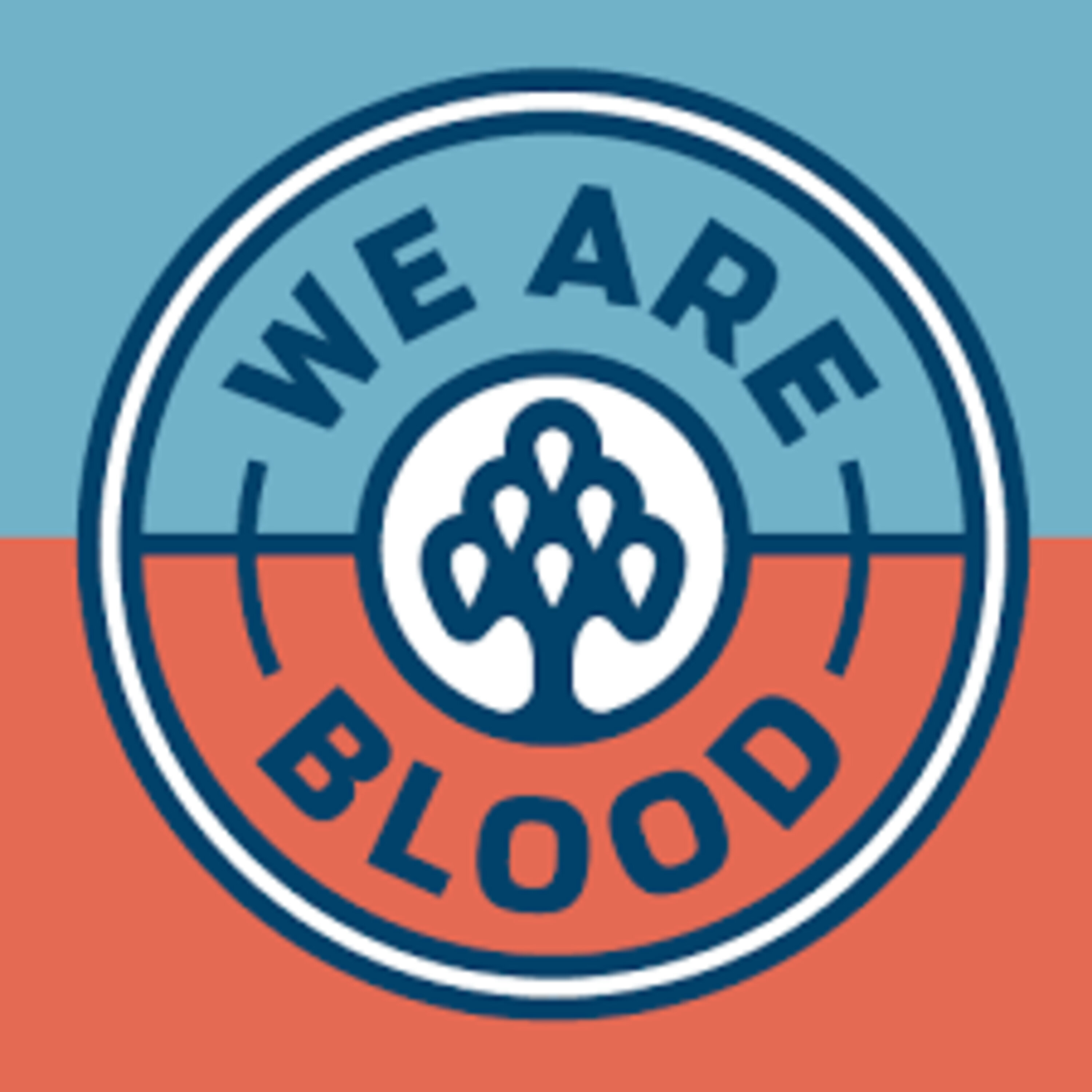 Nick Canedo VP of Comm Engagement at We Are Blood episode artwork