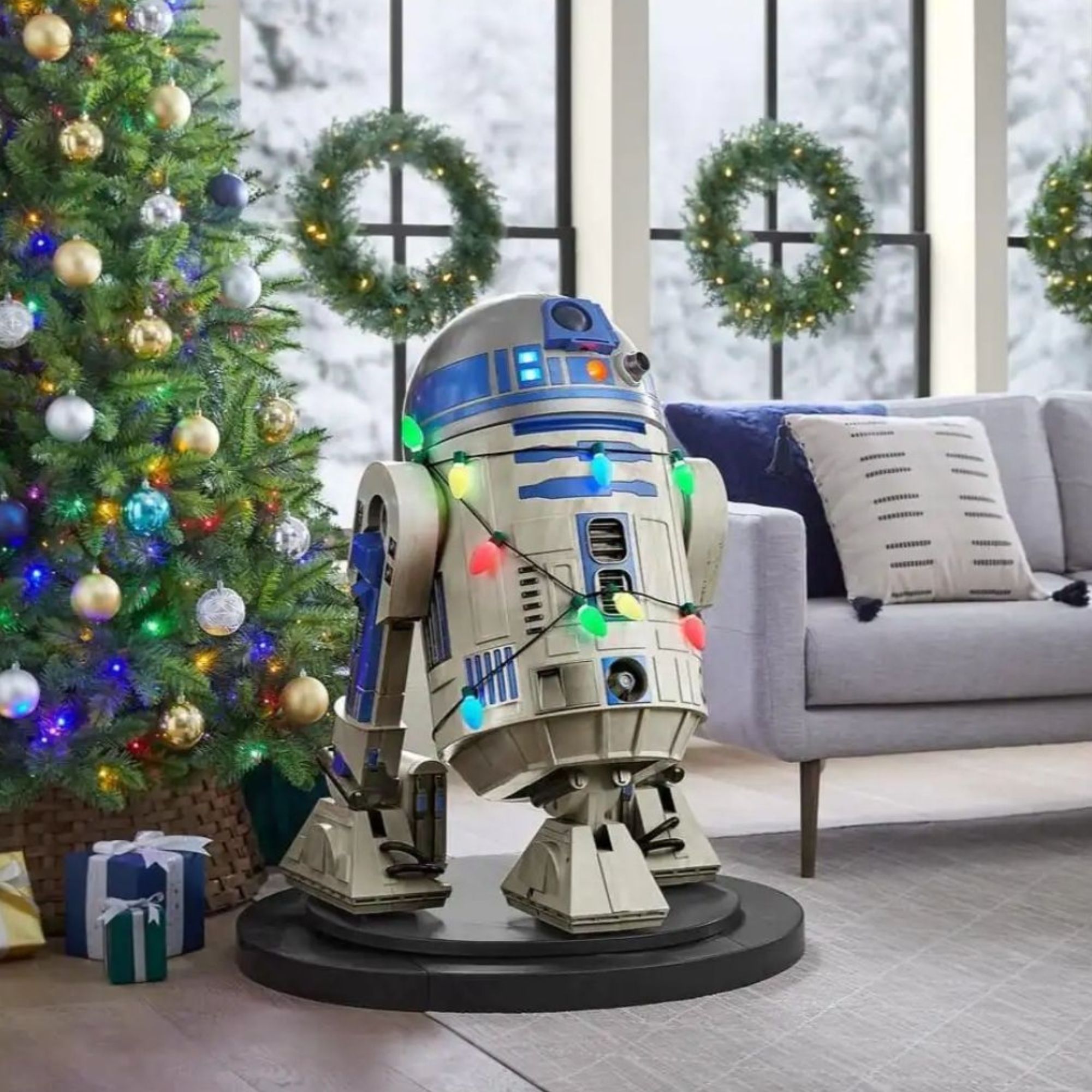 #706 PRIVATE - Stephen's Latest Purchase and Medical Chatter