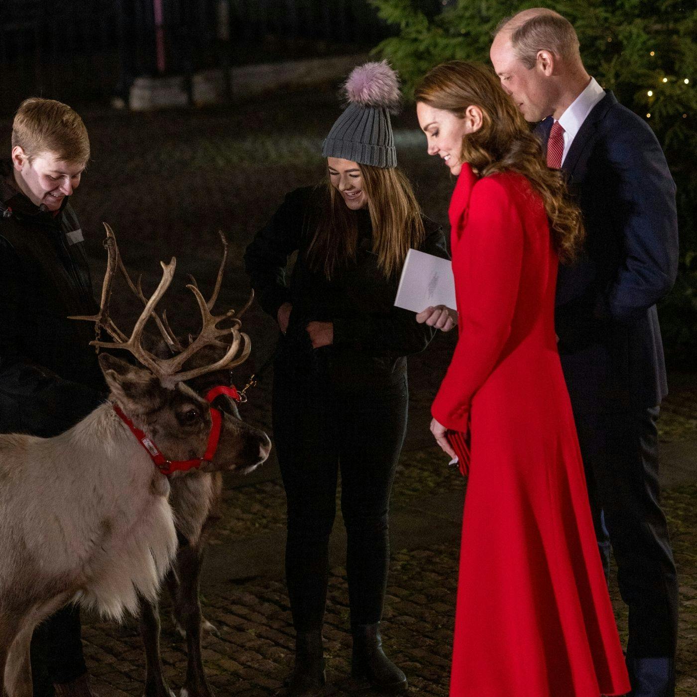 Cambridges’ carol concert, Andrew skips Christmas and a Royal ’audio experience’