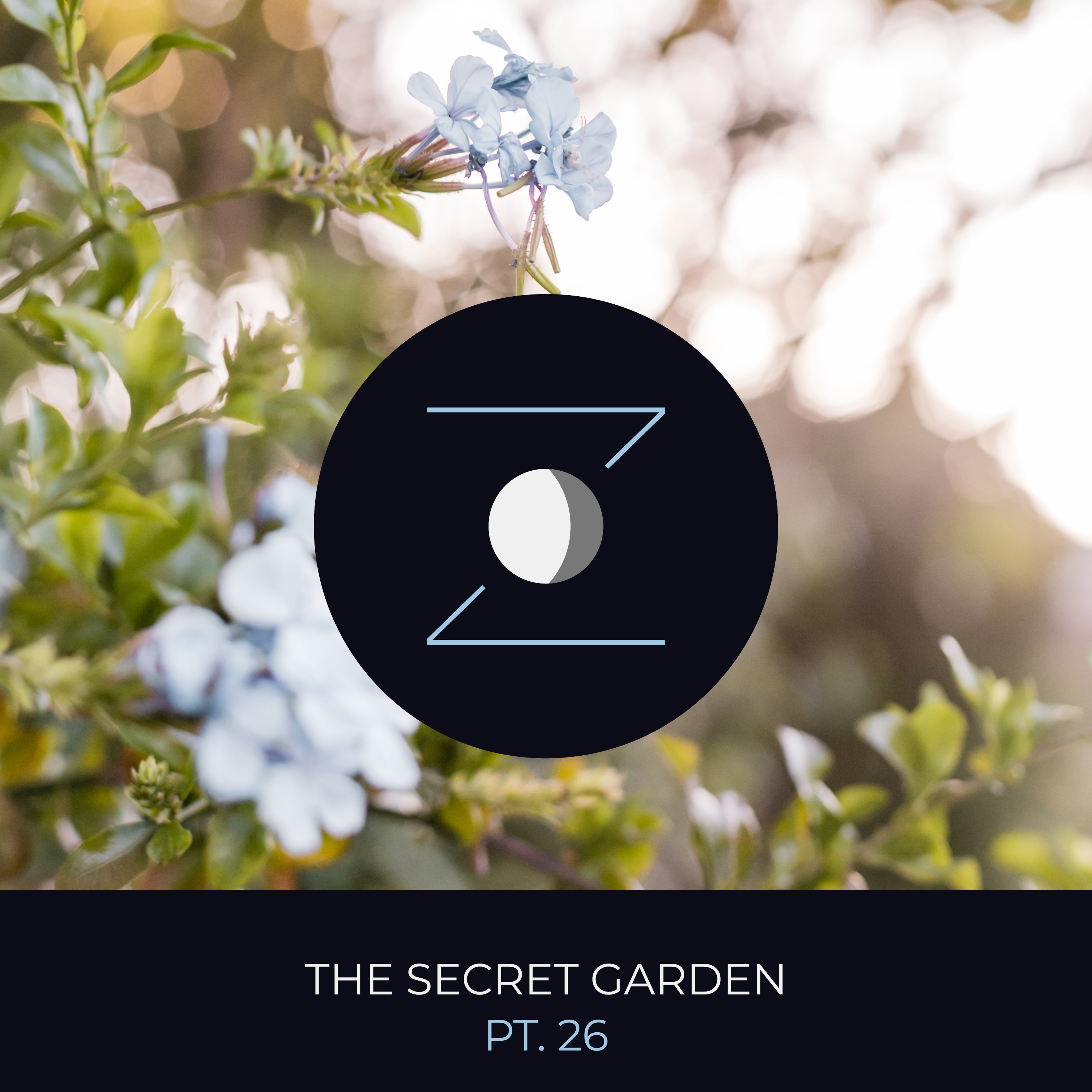 The Secret Garden pt. 26 episode artwork