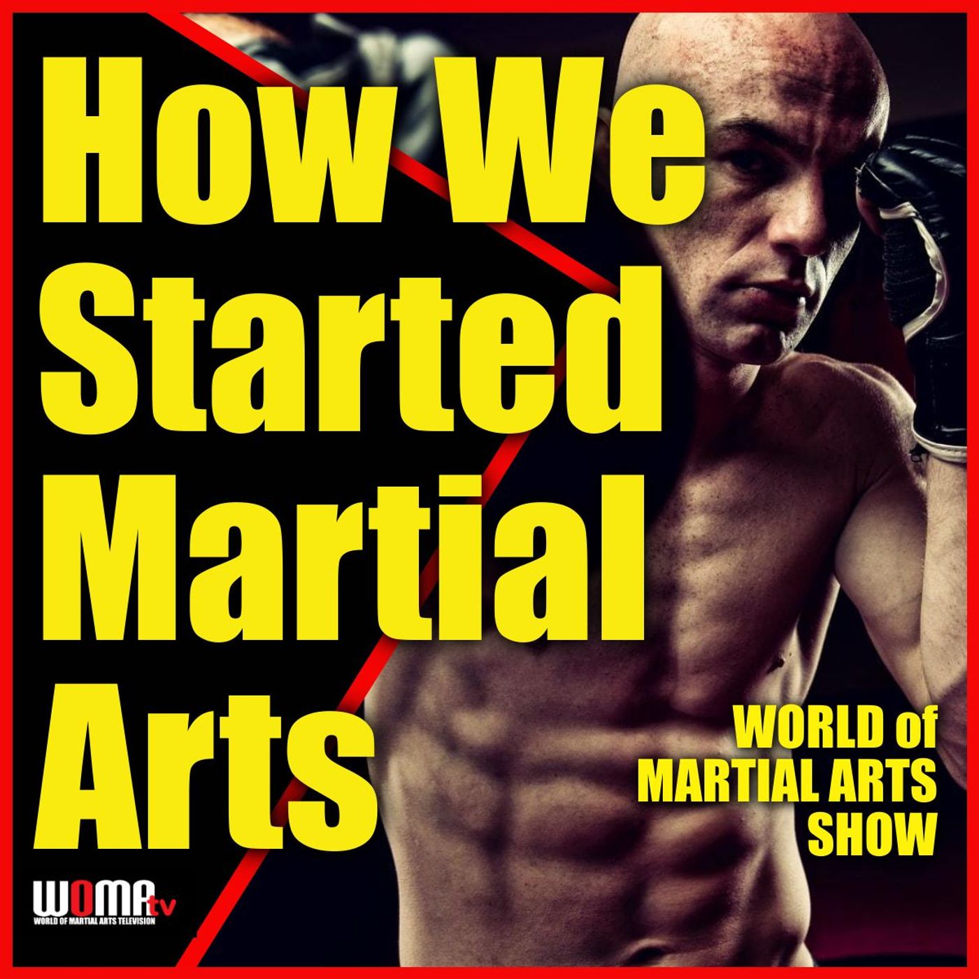 World of Martial Arts Show