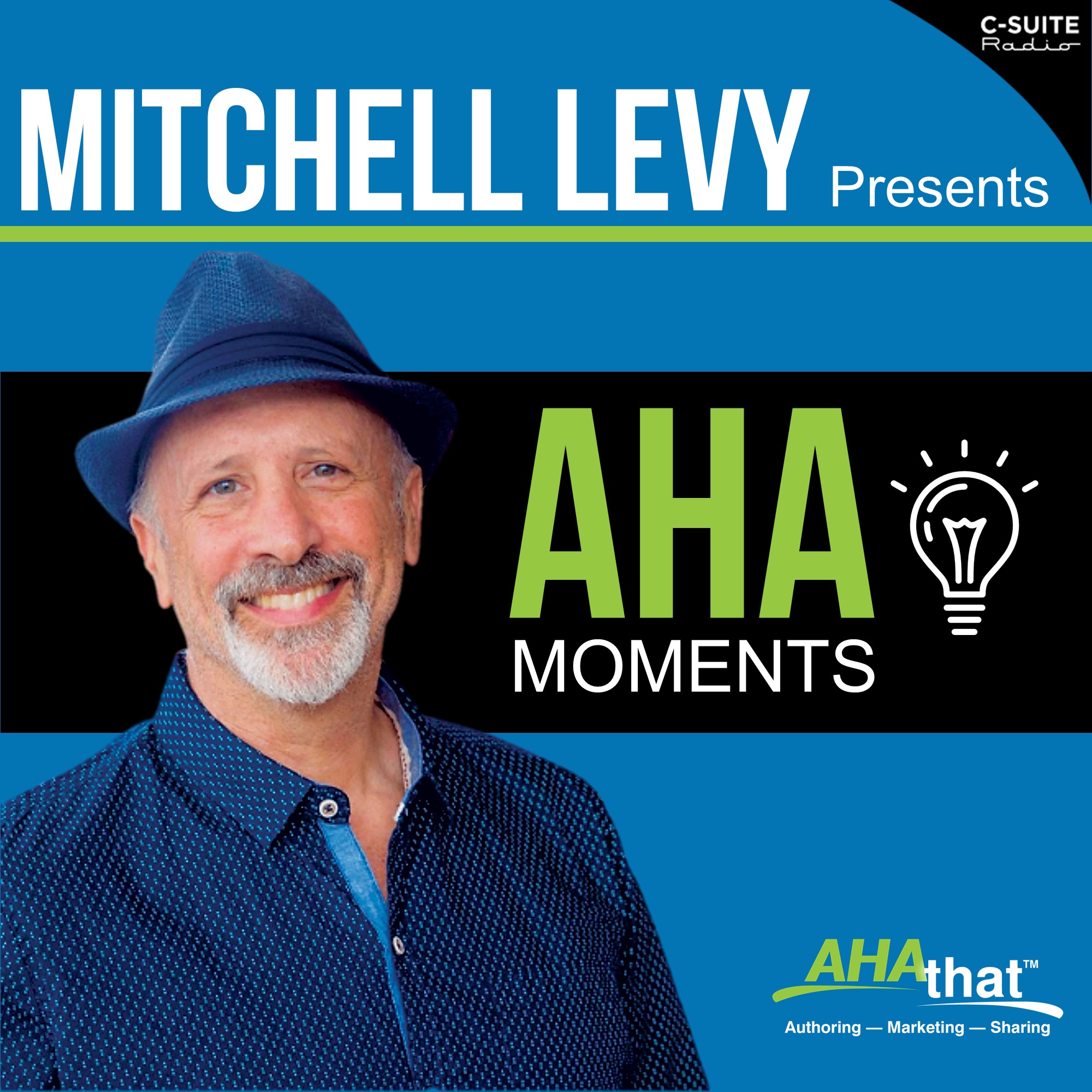 Mitchell Levy Presents AHA Moments