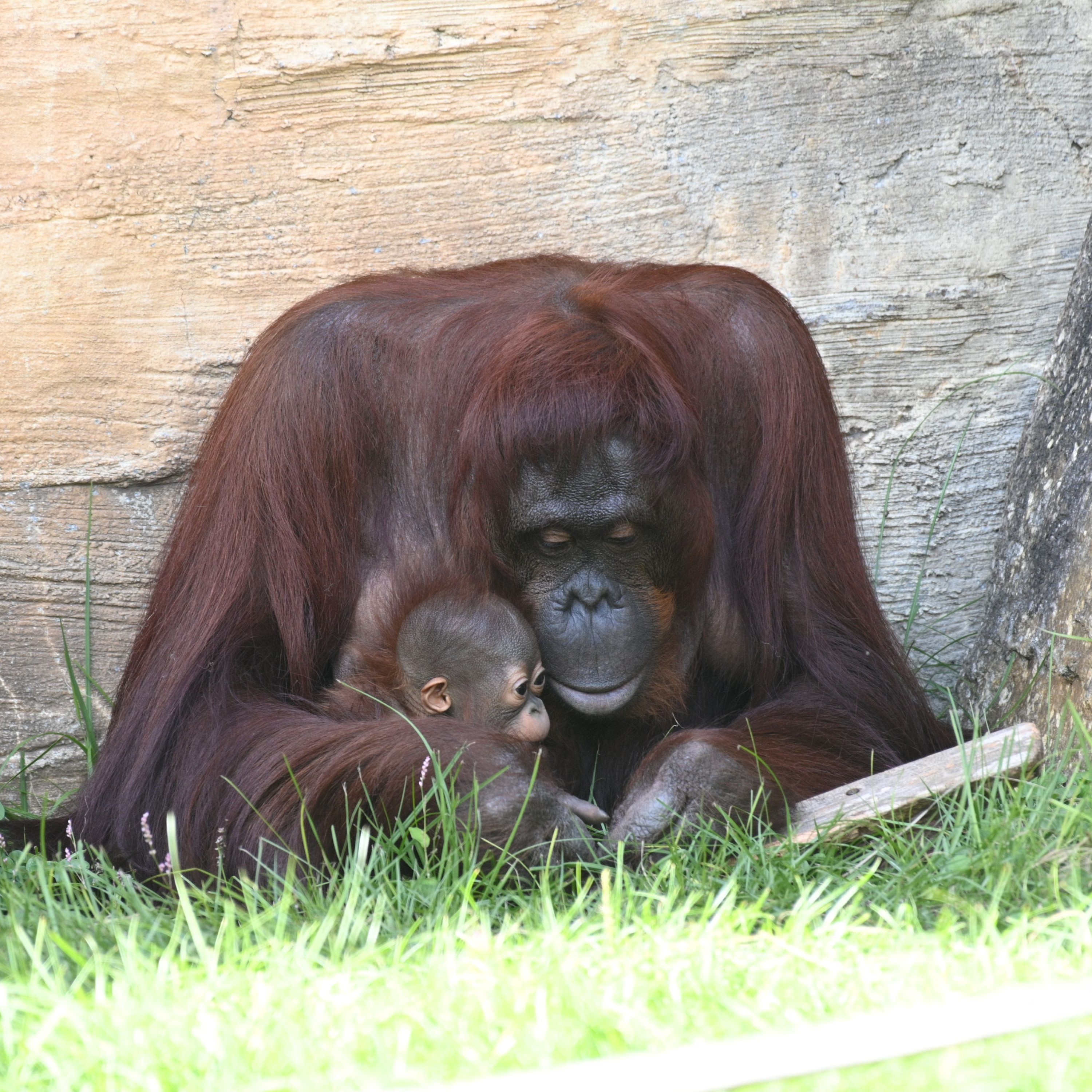 ビズスタ　THE REAL WELLNESS #218【東京動物園協会主催「 冬の周遊キャンペーン　都立動物園・水族園　謎めぐり」 とInstagram ハッシュタグキャンペーン】