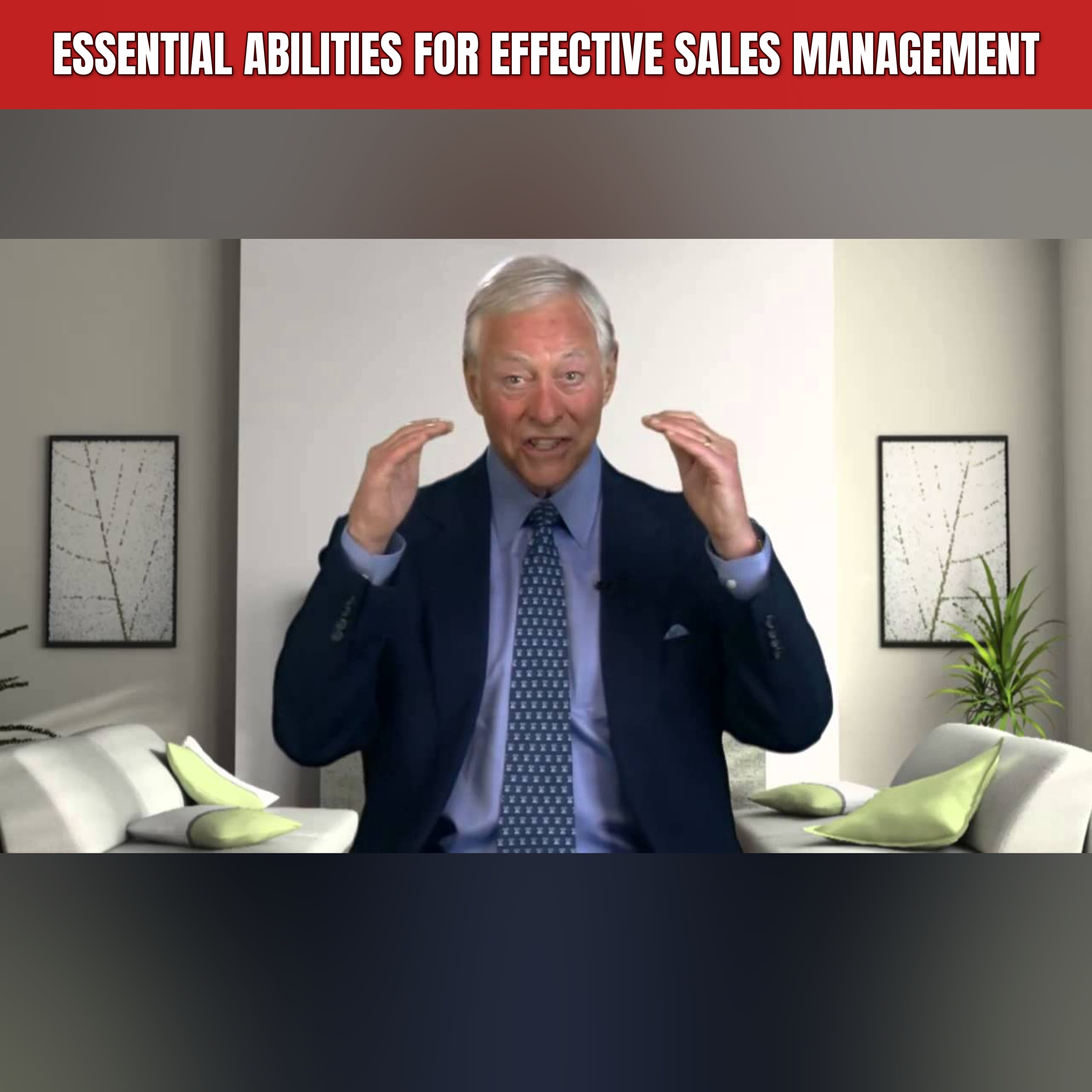 Essential Abilities for Effective Sales Management episode artwork
