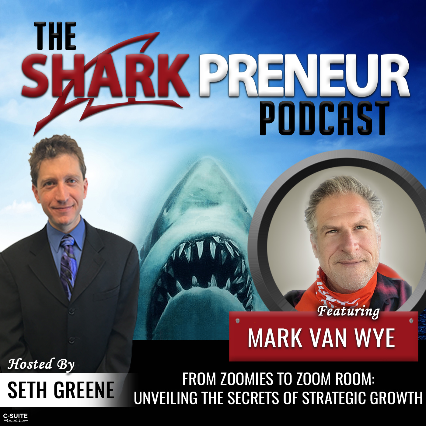 From Zoomies to Zoom Room: Unveiling the Secrets of Strategic Growth