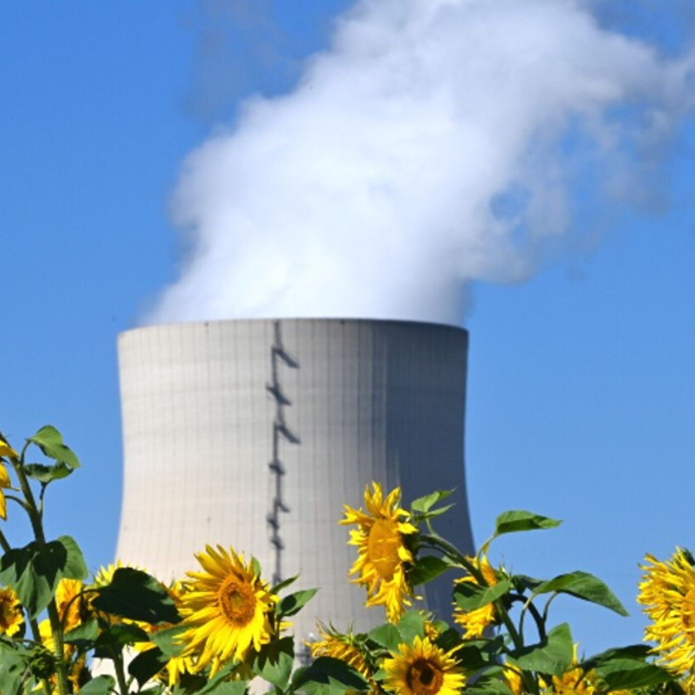 Sul nucleare ha ragione Calenda o Bonelli?