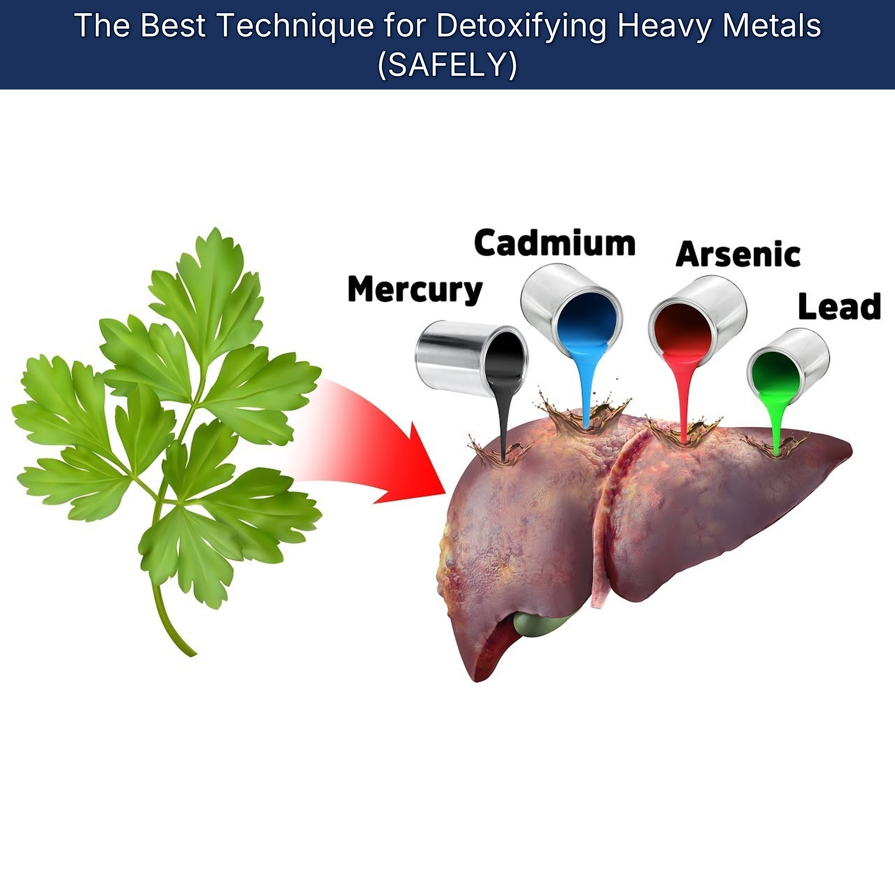 The Best Technique for Detoxifying Heavy Metals (SAFELY)